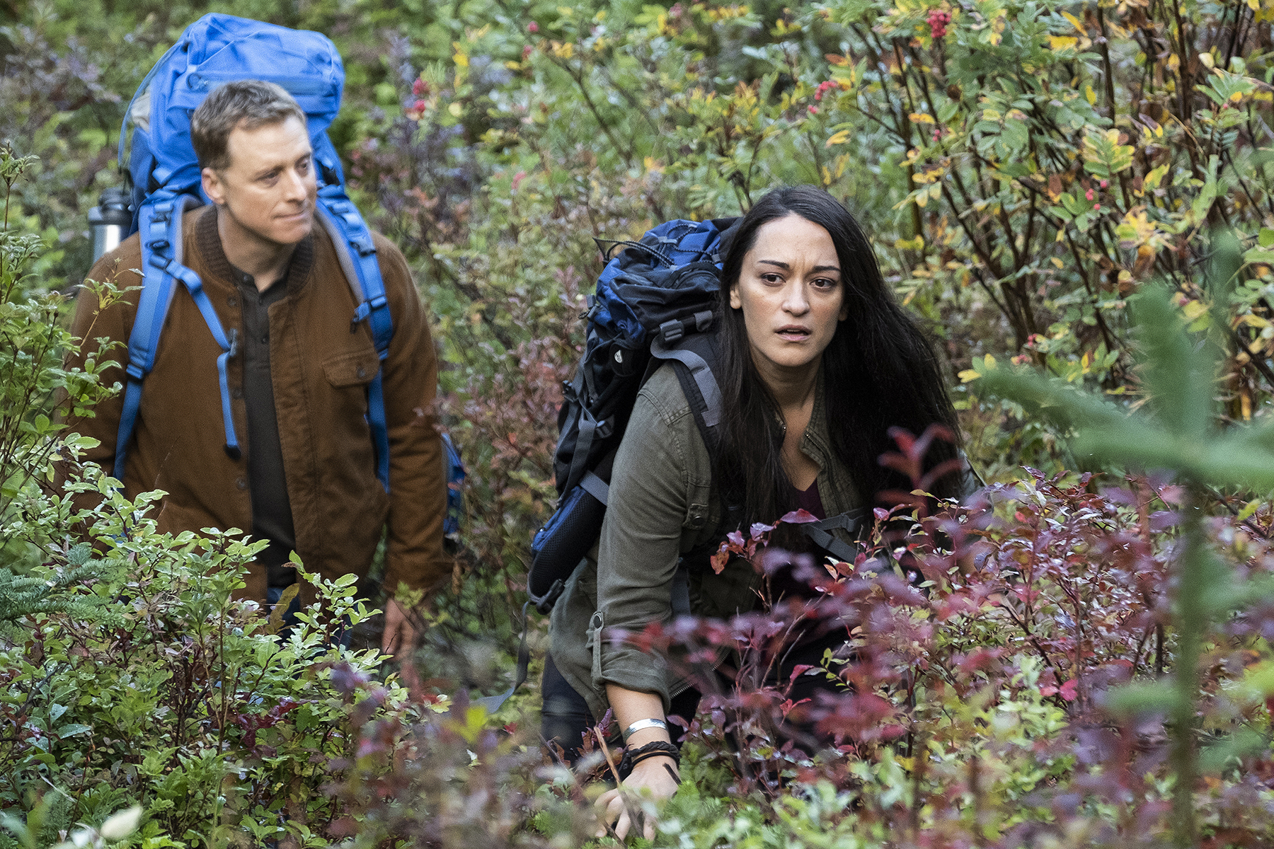 What's on TV Wednesday: 'Resident Alien,' 'Nova,' 'Amazing Race' - Vimarsana News