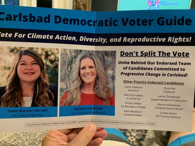 Column: Republican-backed candidates presented as Democrats in Carlsbad, La Mesa mailers - Vimarsana News
