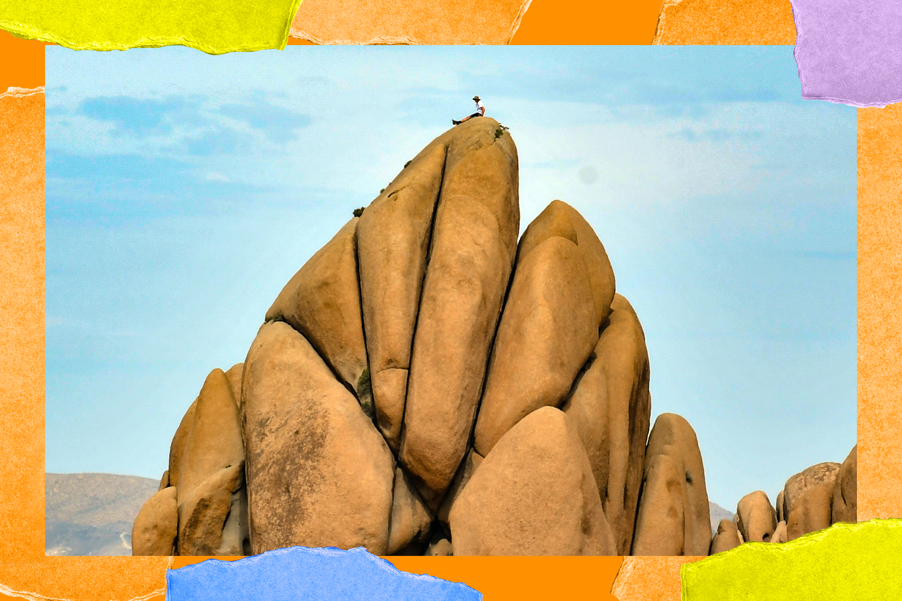 How to best protect the remote areas of Joshua Tree - Vimarsana News