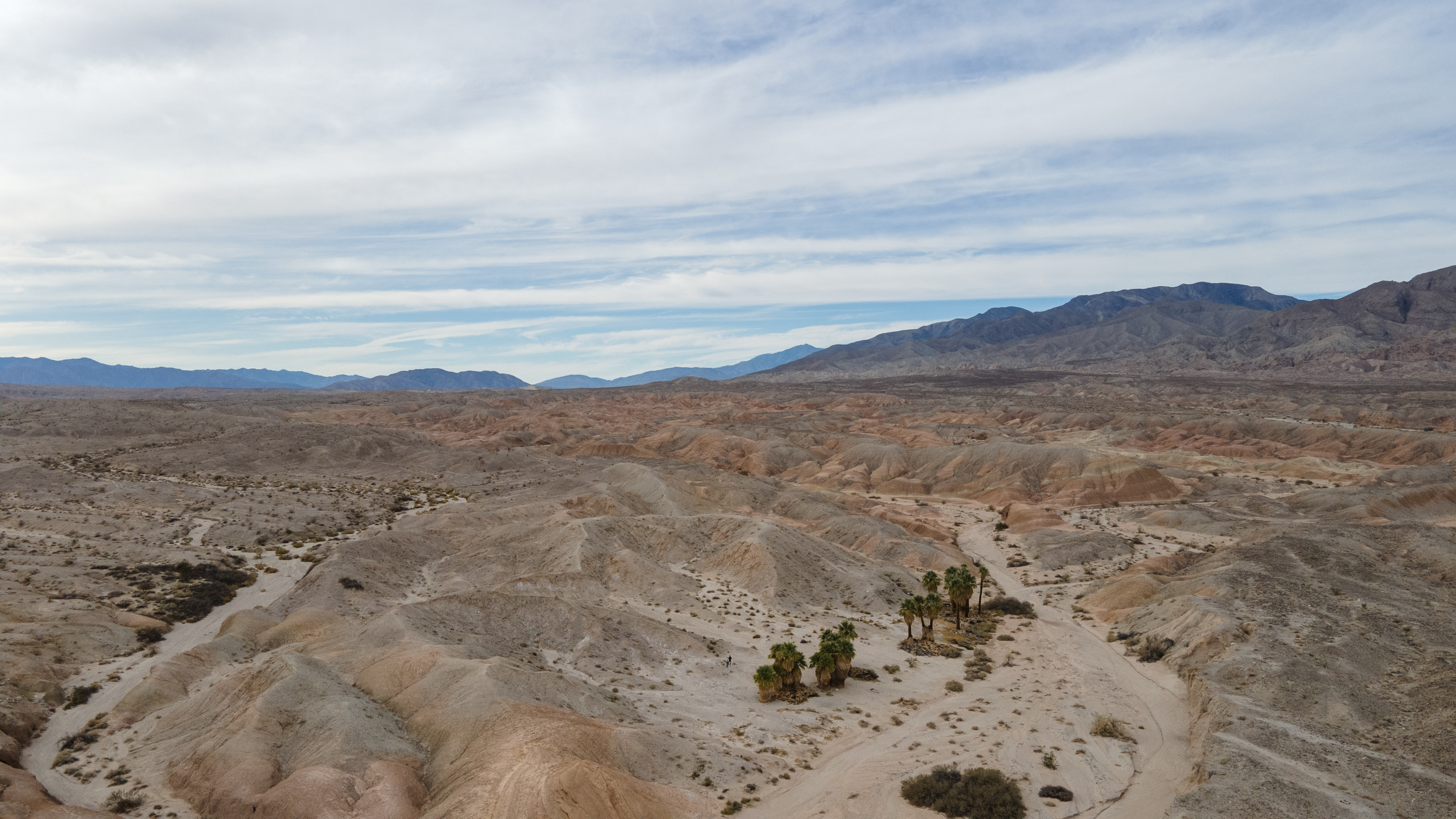 Climate change is ravaging Anza-Borrego Desert State Park, scientists warn. What can be done? - Vimarsana News