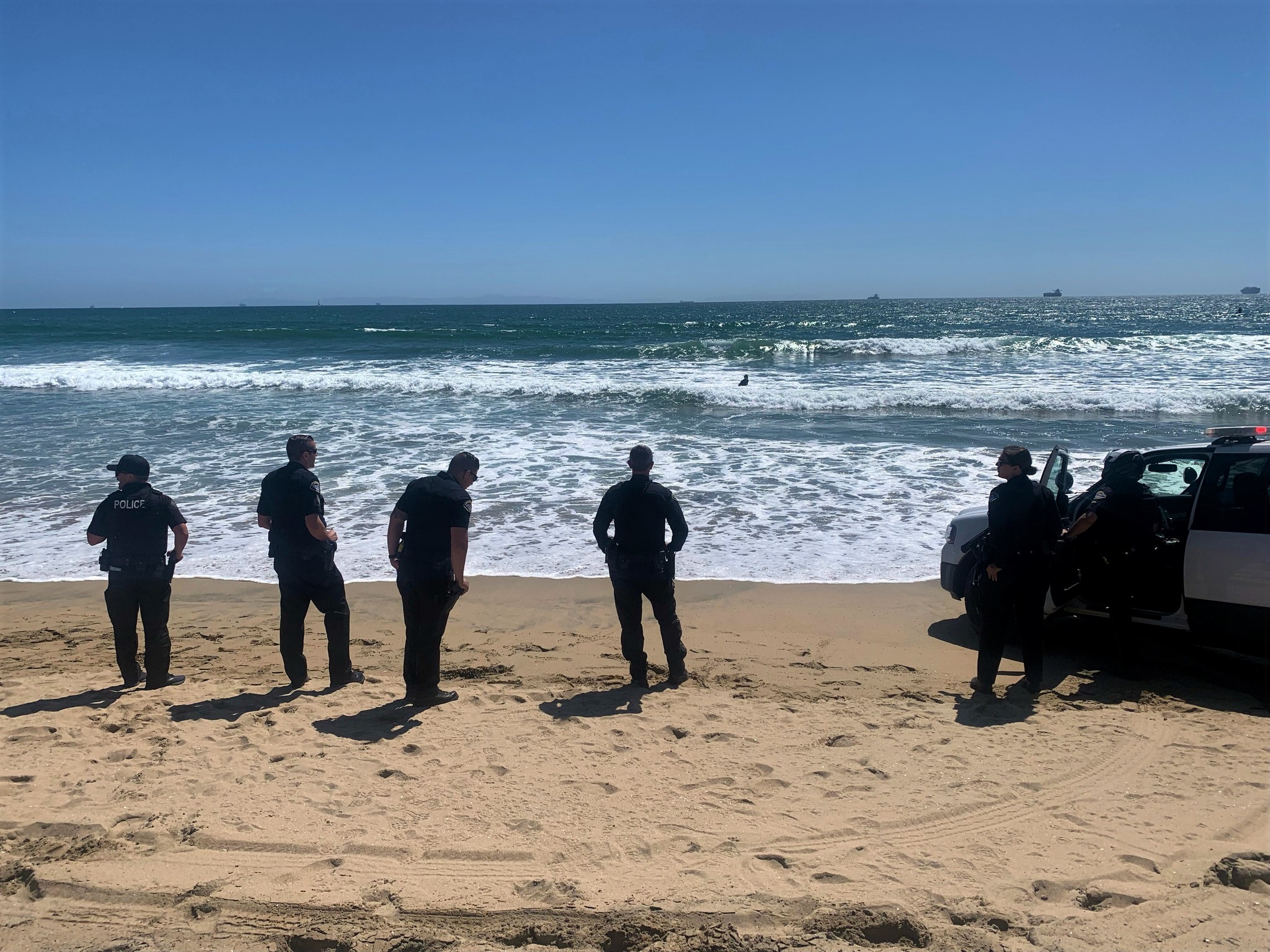 2 arrested after Huntington Beach robbery suspect dives into ocean to evade capture - Vimarsana News