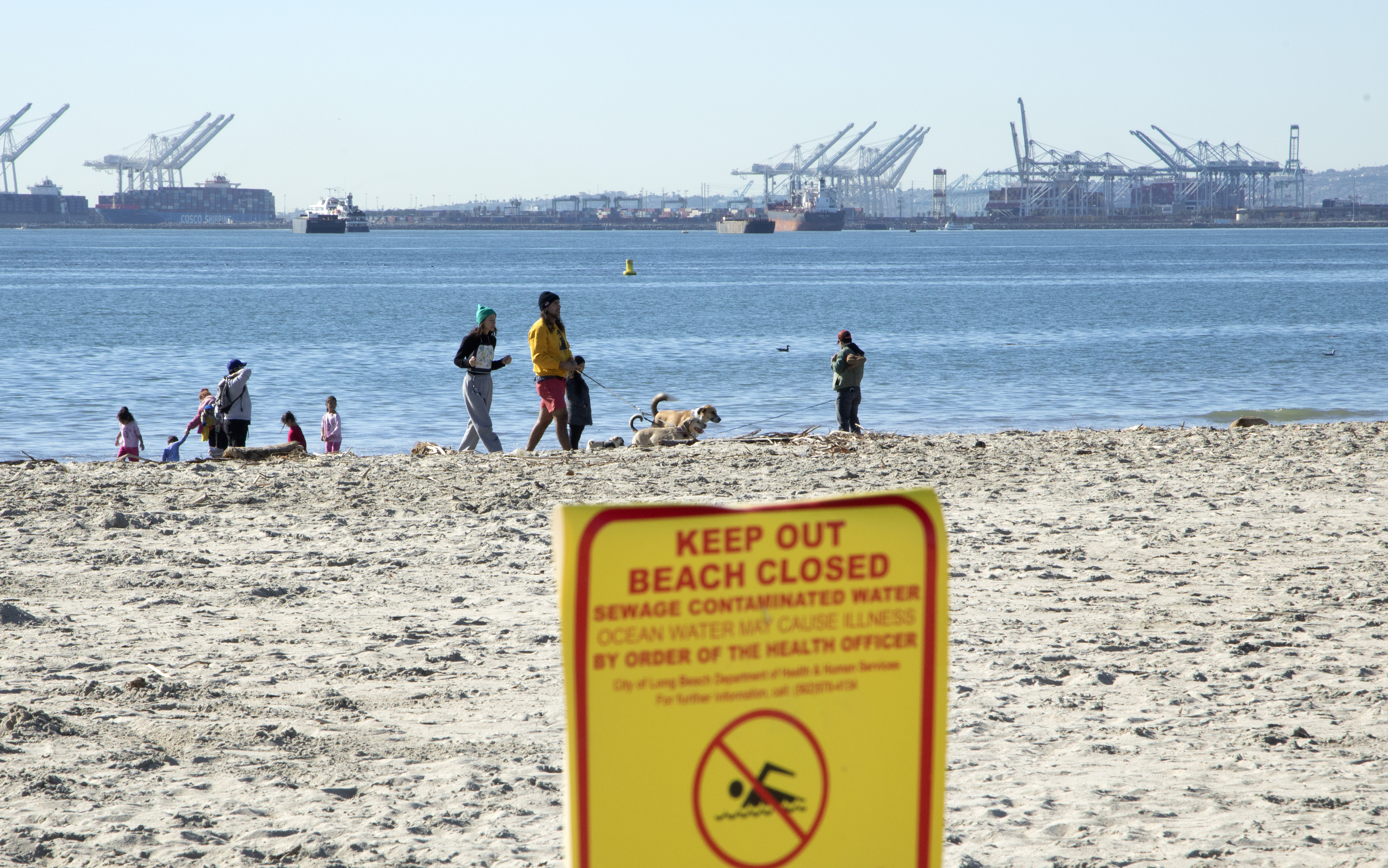 Several Southern California beaches reopen after massive sewage spill - Vimarsana News