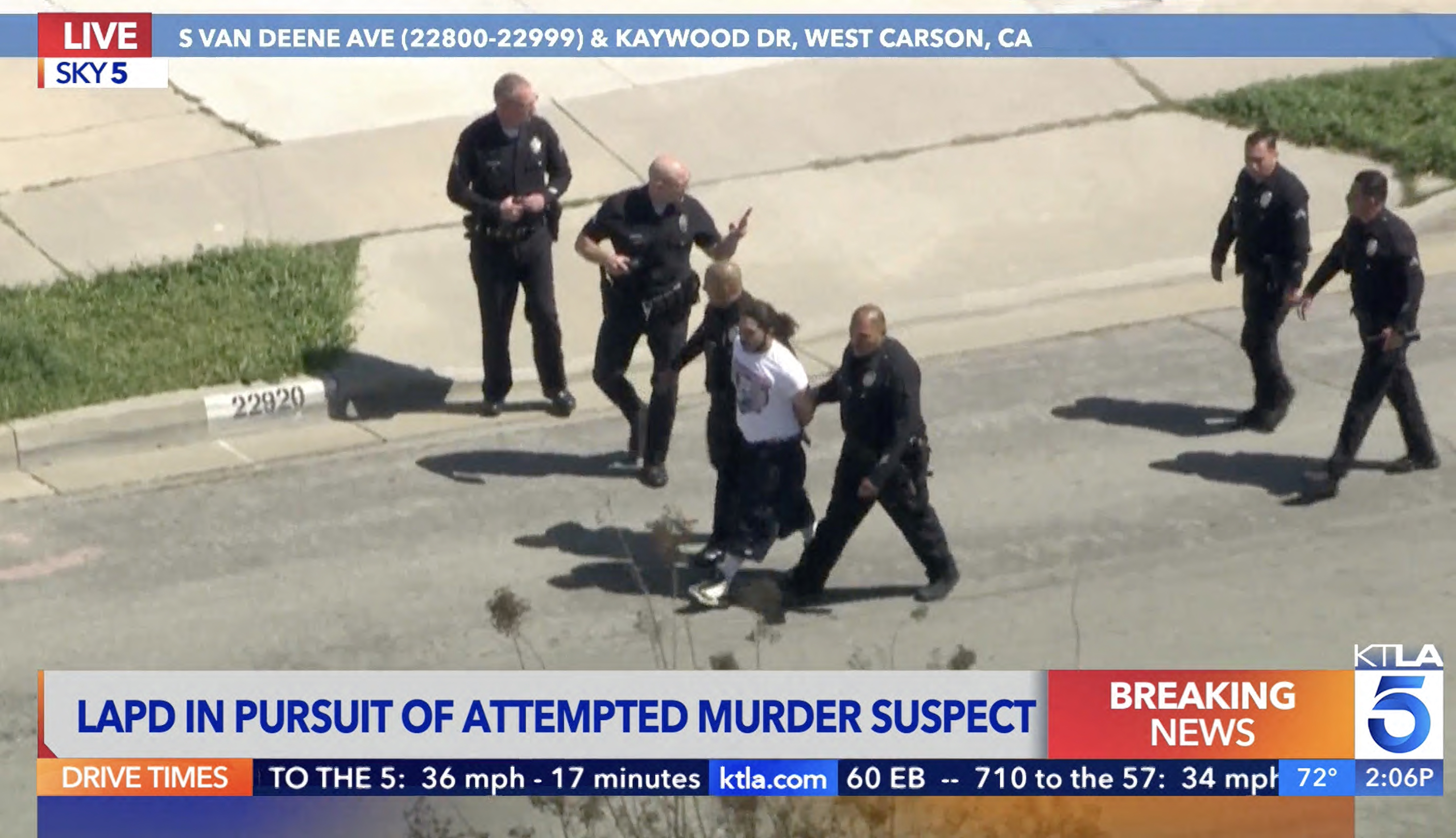 LAPD identifies attempted murder suspect who fled police; puppy thrown from vehicle unharmed - Vimarsana News
