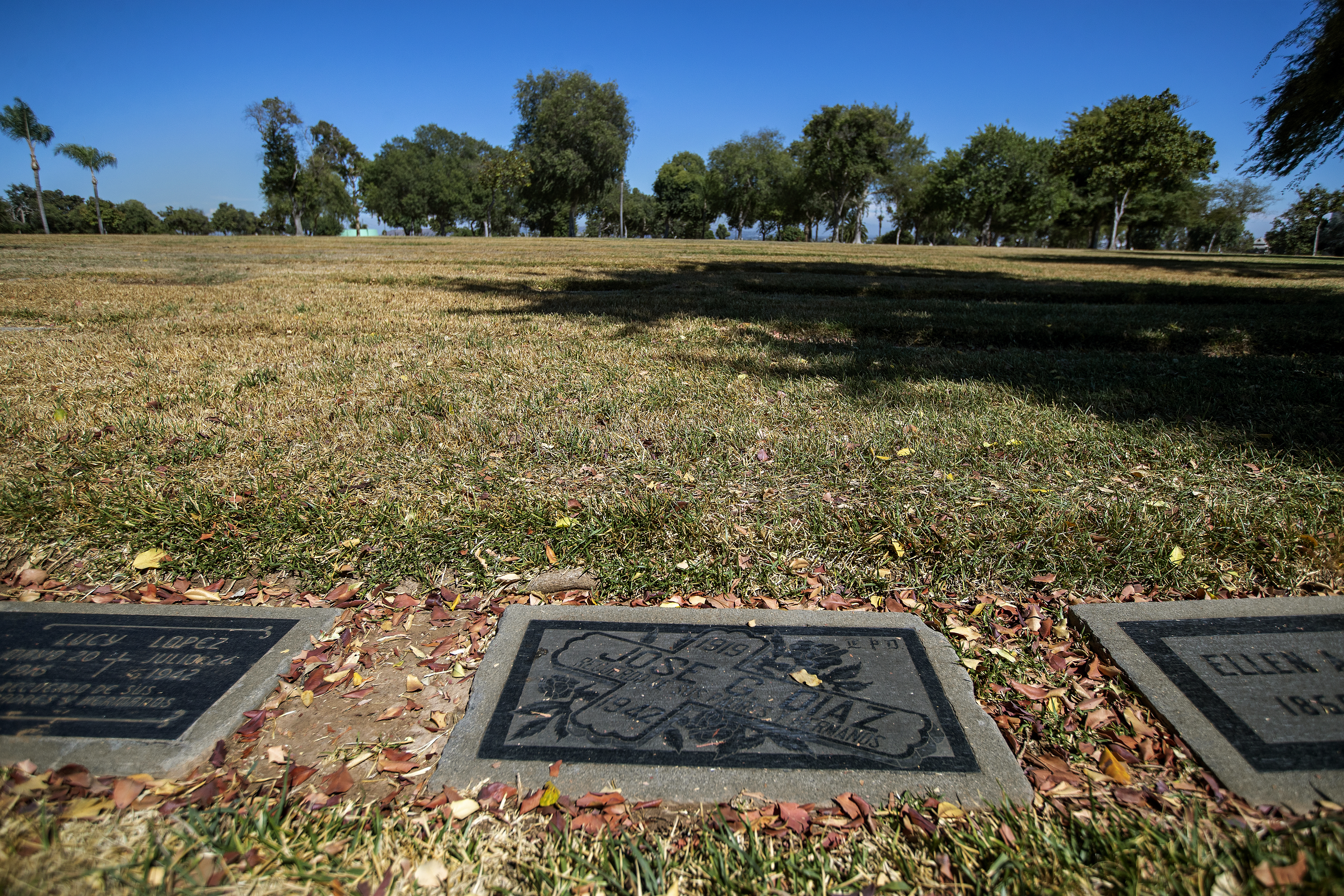 Column: This forgotten man's death led to Zoot Suit riots - Vimarsana News