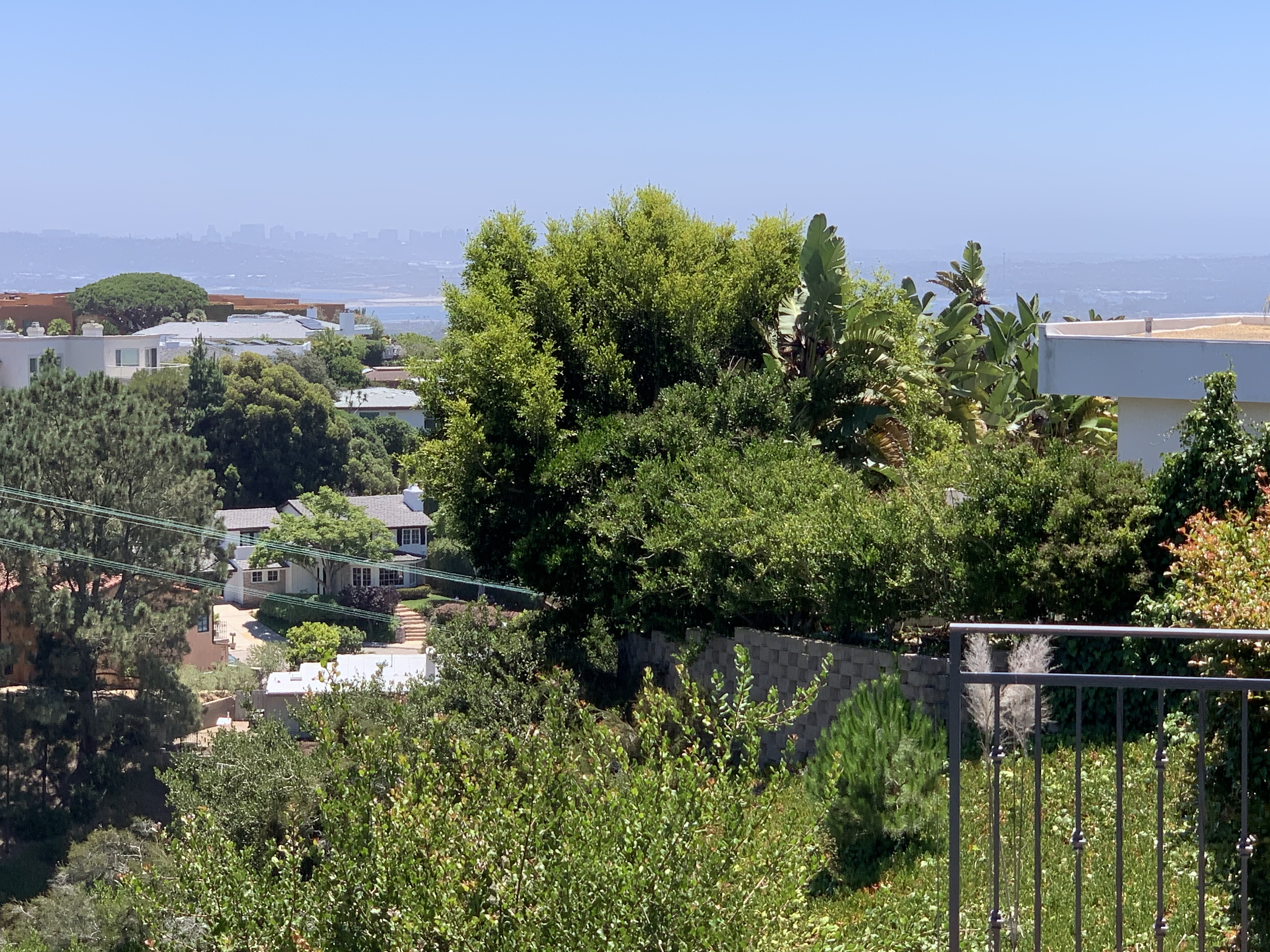 La Jolla Mesa resident sues neighbor over 'multiple violations' in construction and planting - Vimarsana News