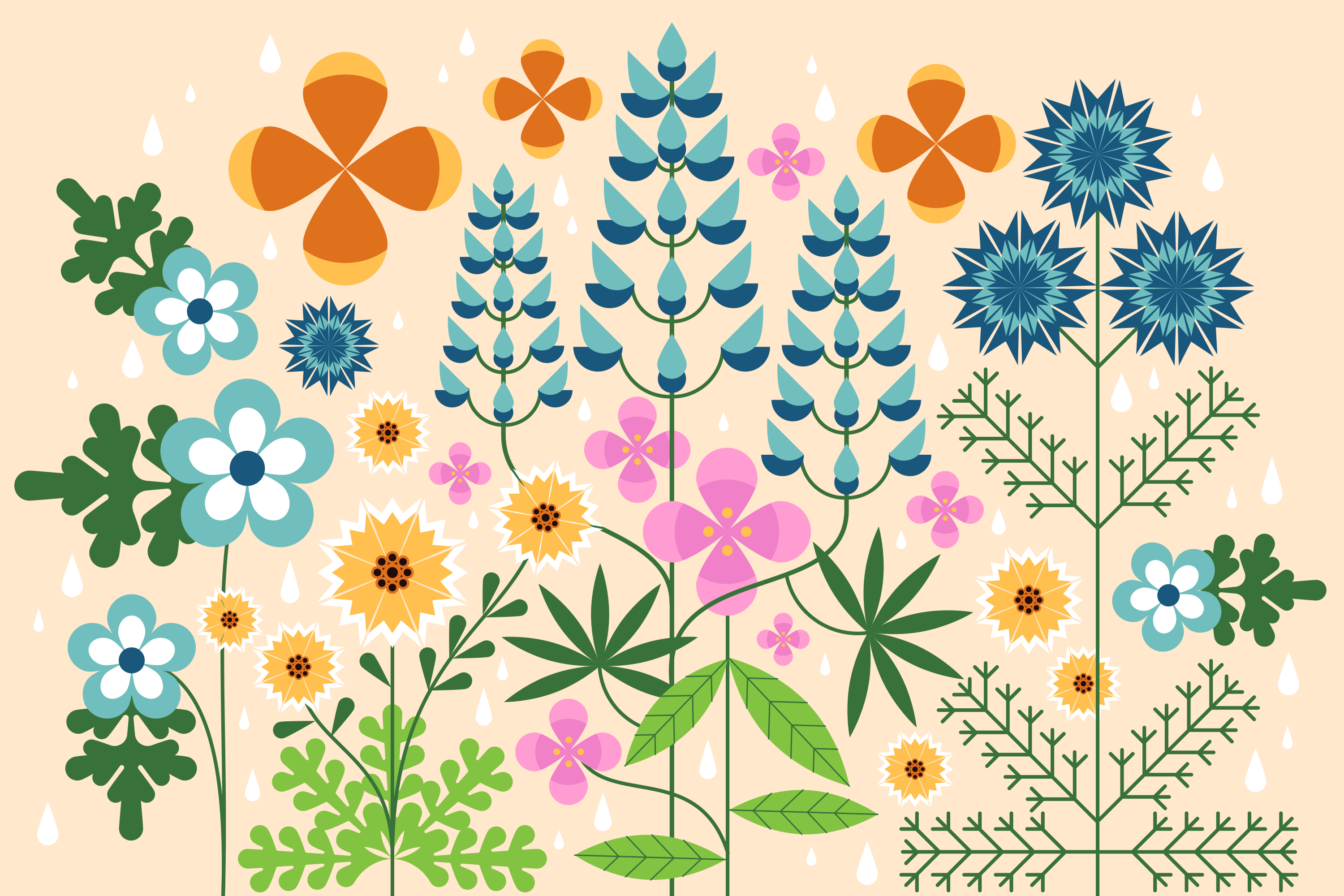 How to plant California wildflower seeds now for glorious spring blooms - Vimarsana News
