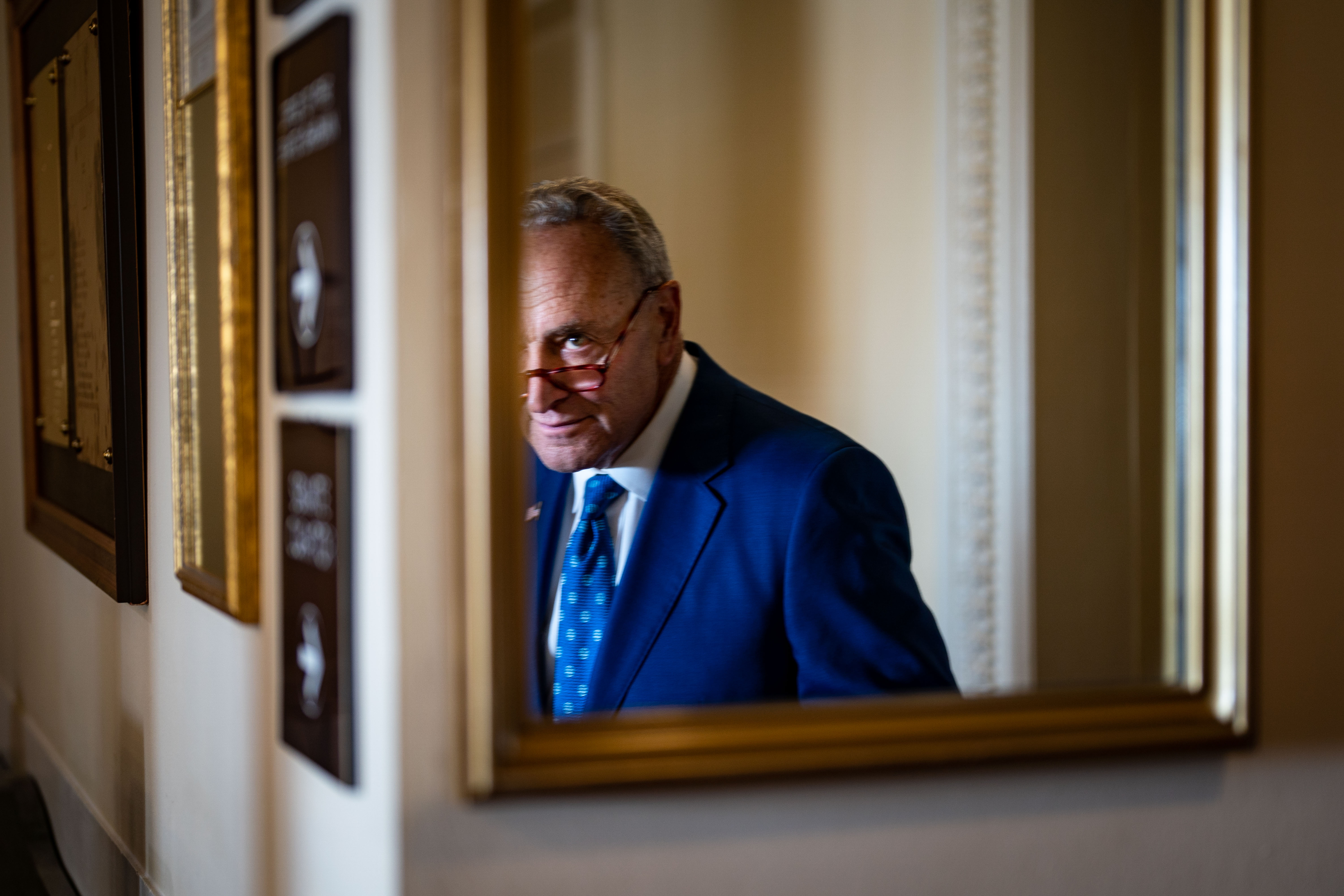 Senators expect election reform bill vote after midterms - Vimarsana News
