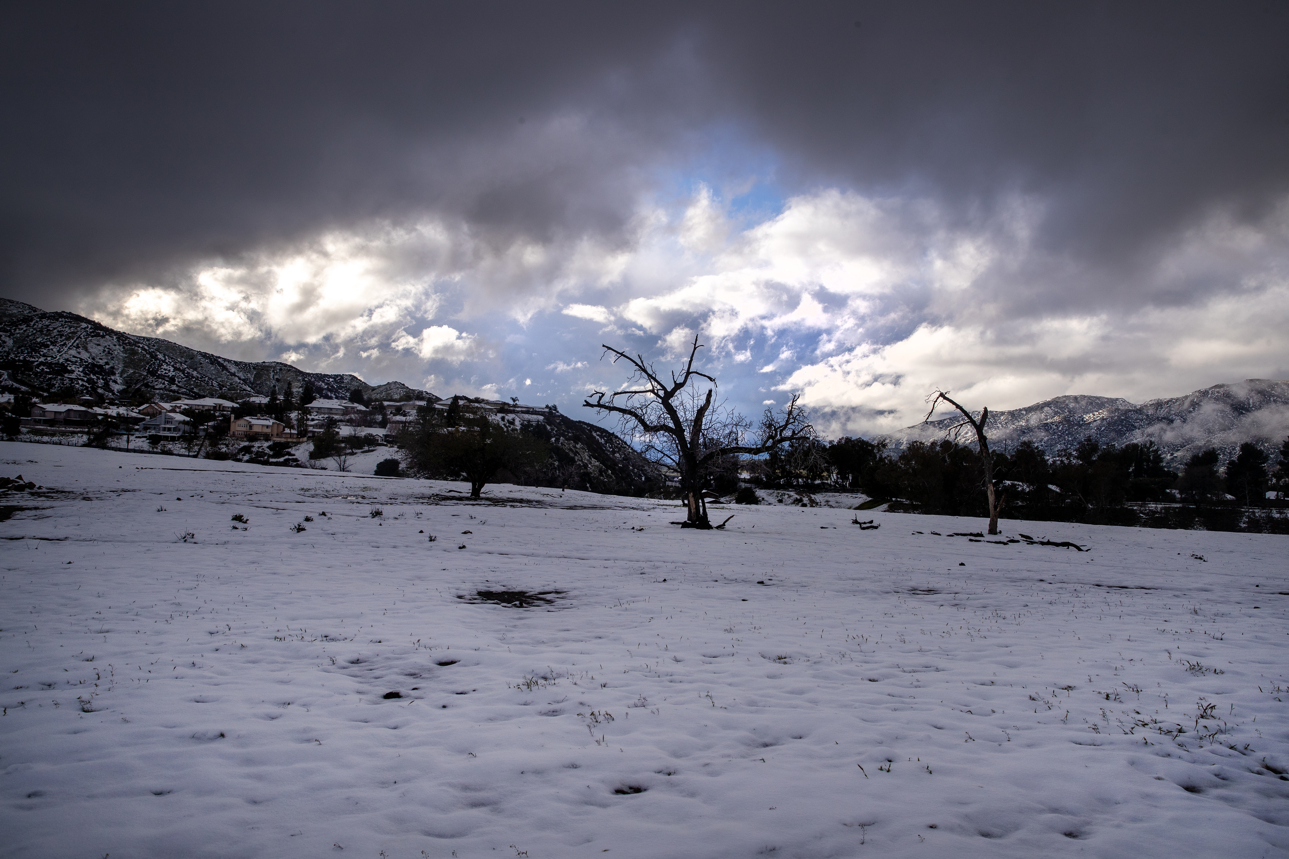 Snow in L.A. feels like an amazing reprieve from climate change - Vimarsana News