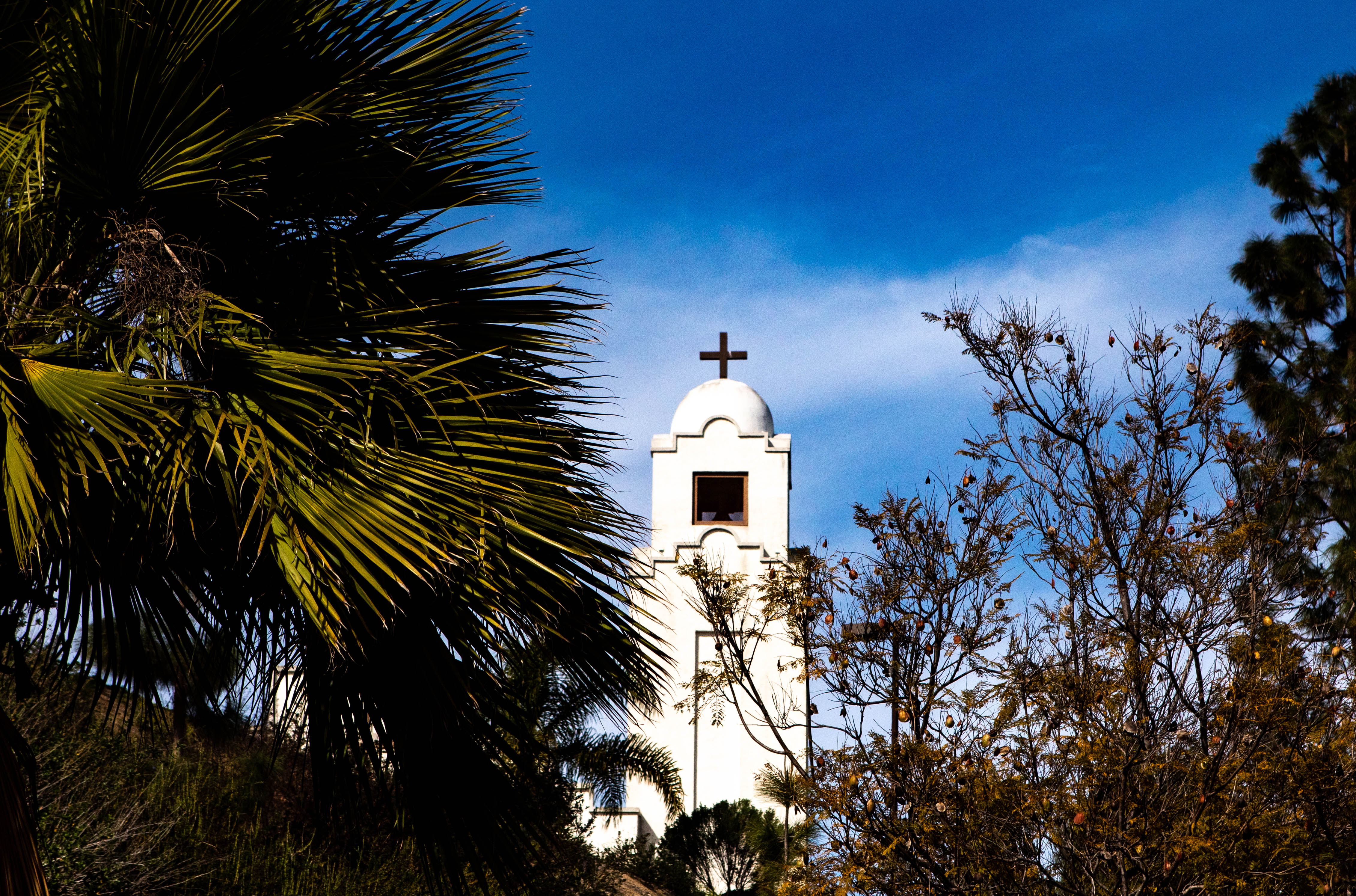 San Diego Roman Catholic diocese ponders bankruptcy with sex-abuse lawsuits pending - Vimarsana News
