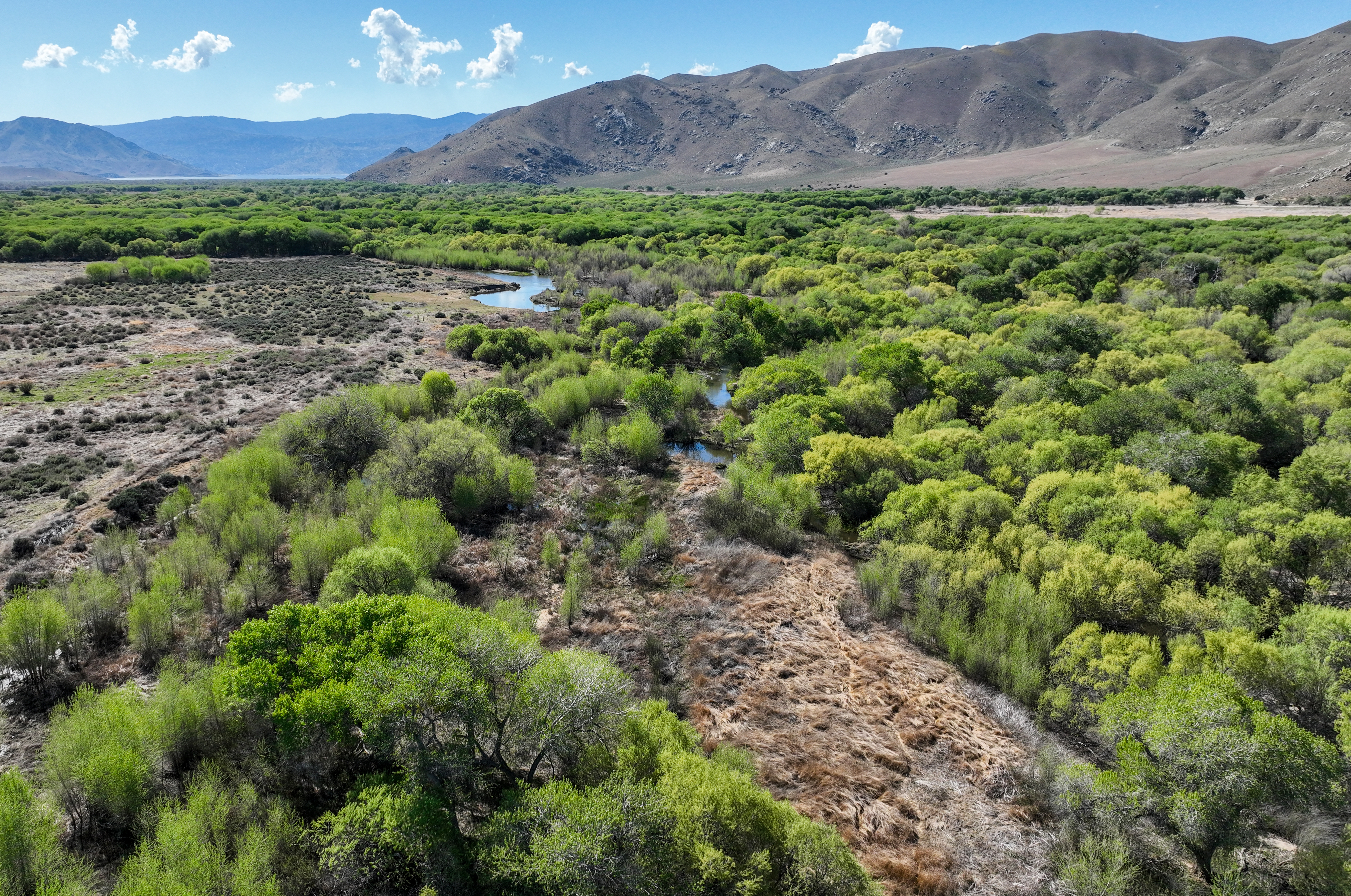 A scientist aims to save habitats that rely on groundwater - Vimarsana News
