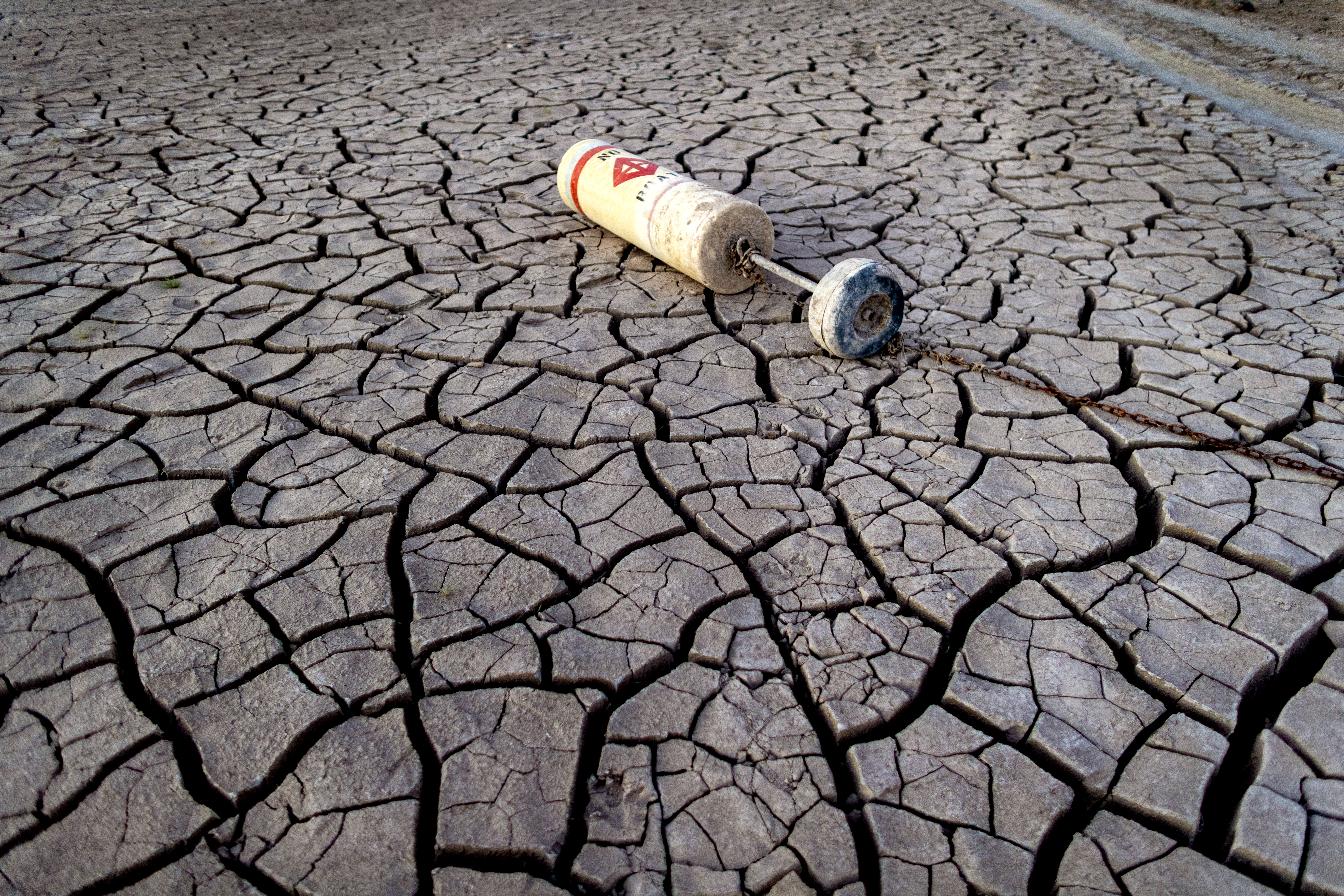 How the Colorado River reached its current dire state - Vimarsana News