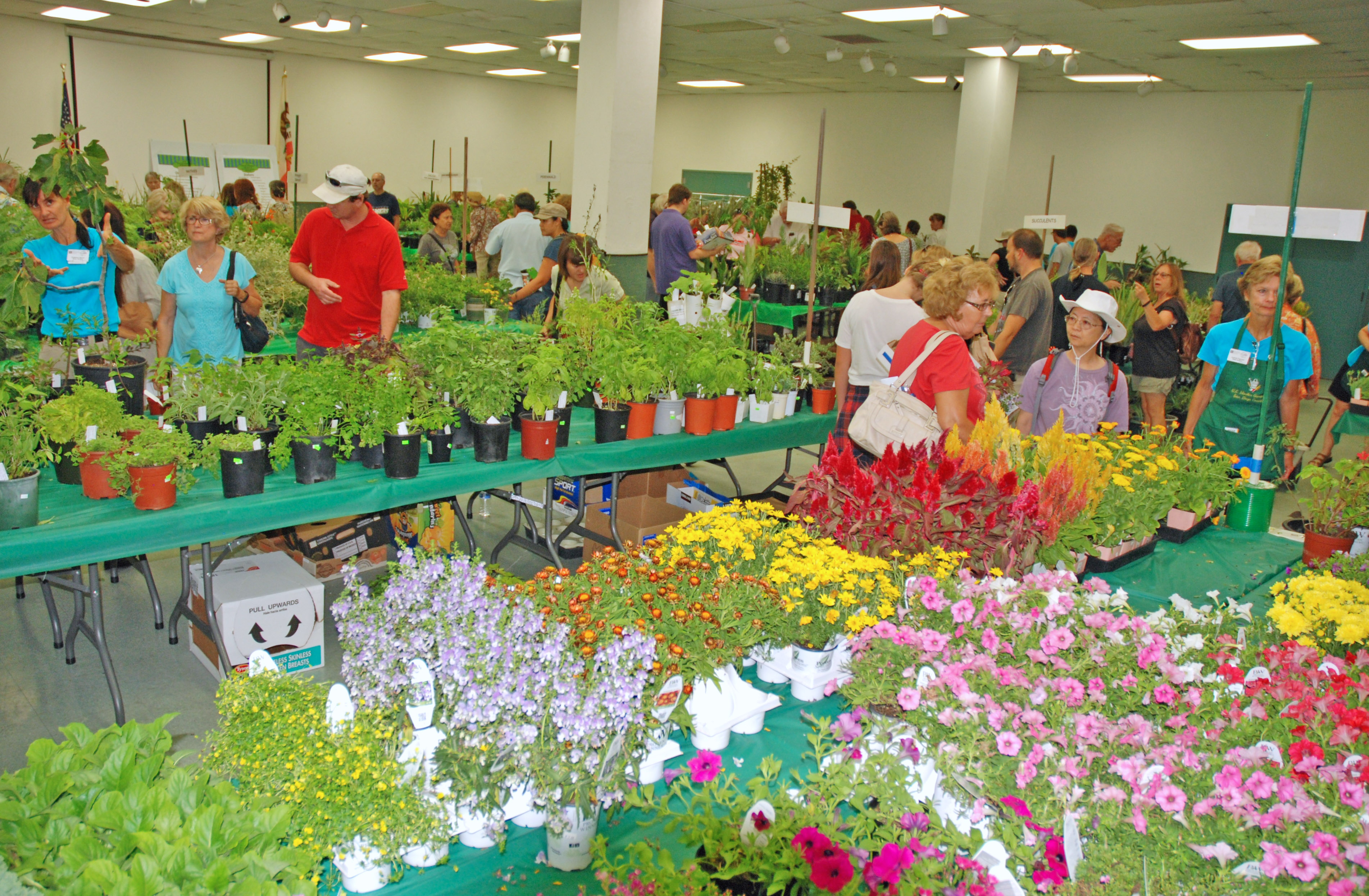 San Diego County Master Gardeners' fall plant sale returns Sept. 24 at Balboa Park - Vimarsana News