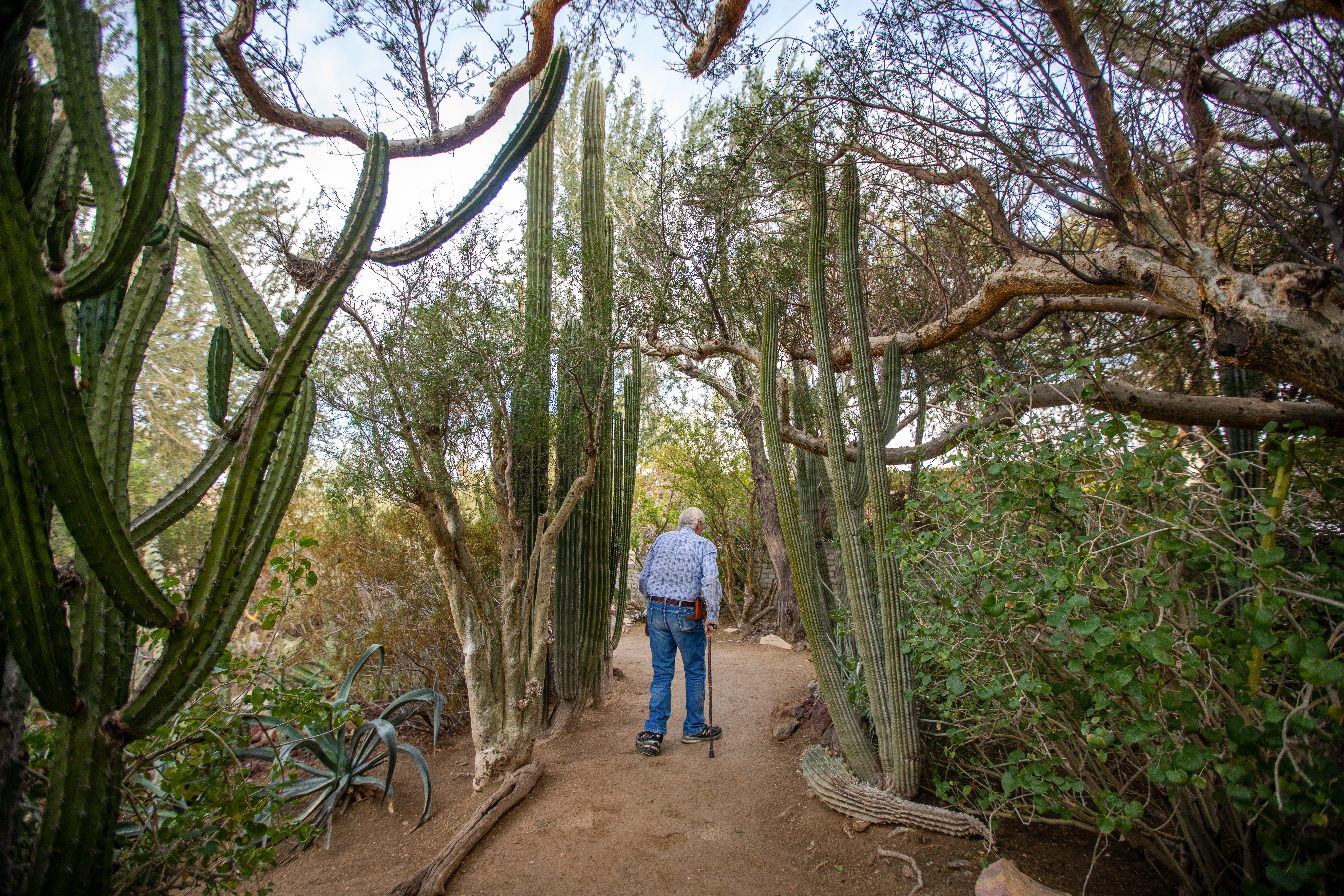Moorten Botanical Garden is an endearing remnant of old Palm Springs - Vimarsana News
