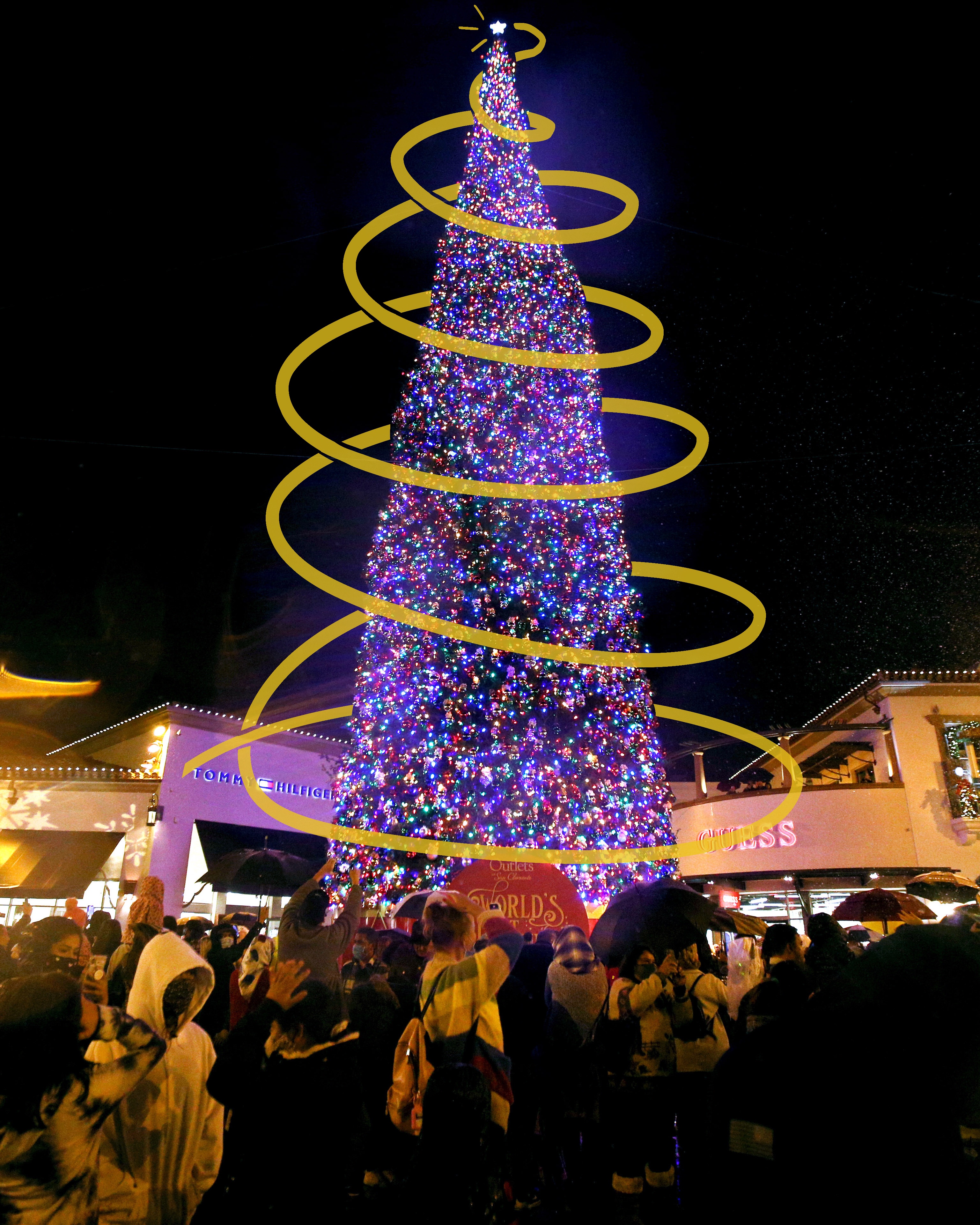 SoCal has great Christmas trees for the 2020 holidays - Vimarsana News