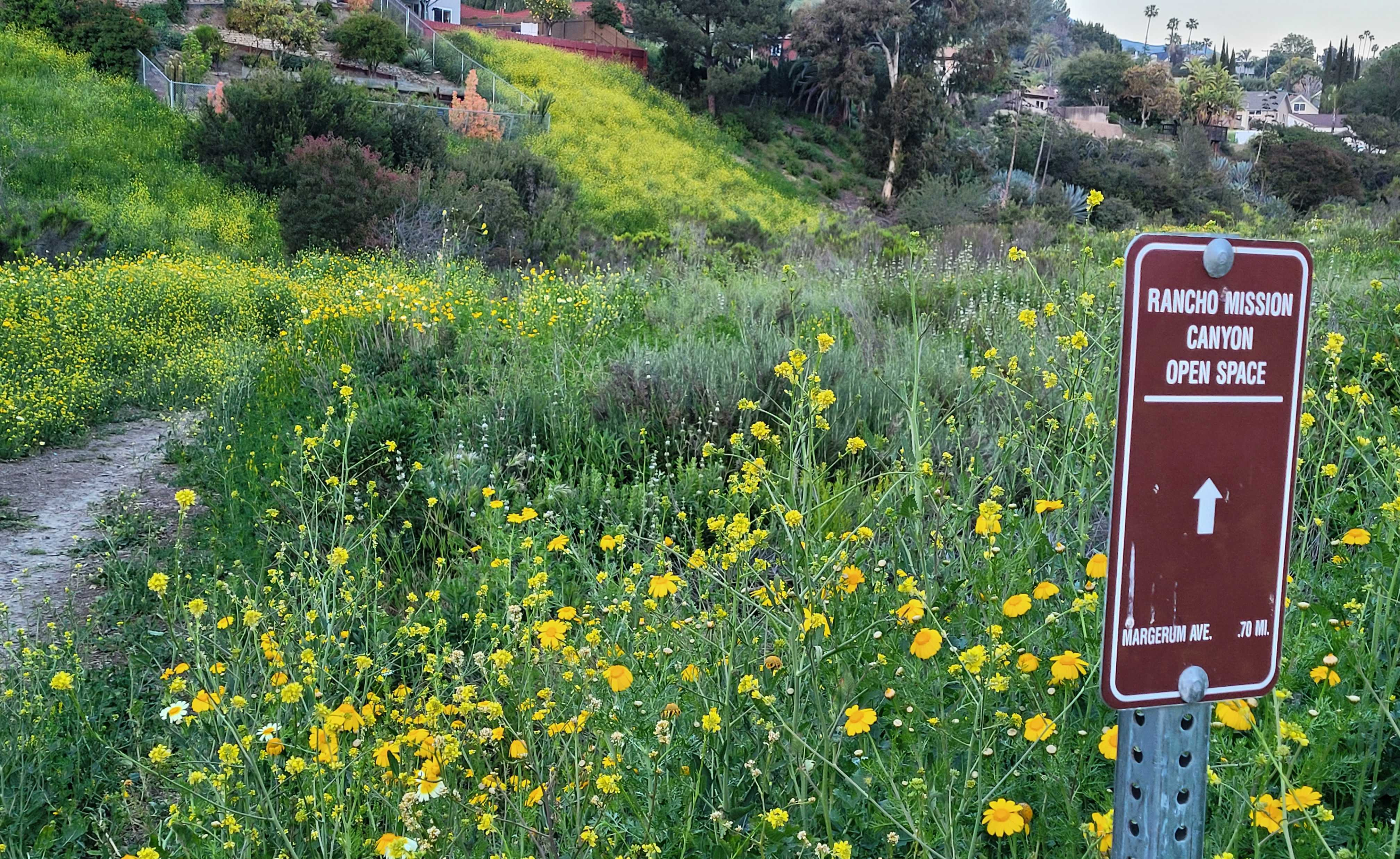Opinion: Appreciating San Diego wildlife conservation starts with easy access to open spaces - Vimarsana News