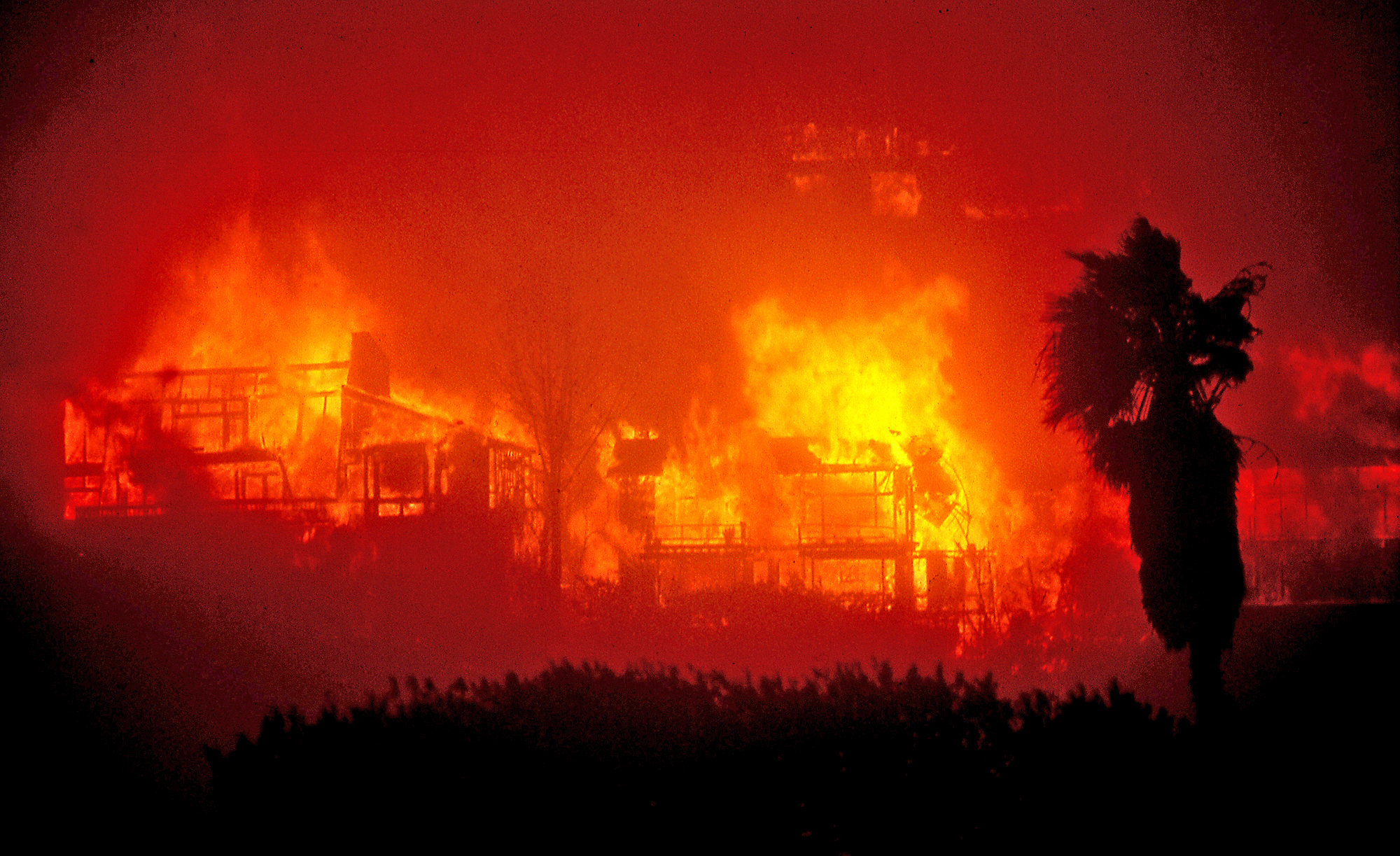 Emerald fire stokes memories of 1993 Laguna Beach blaze that displaced hundreds - Vimarsana News
