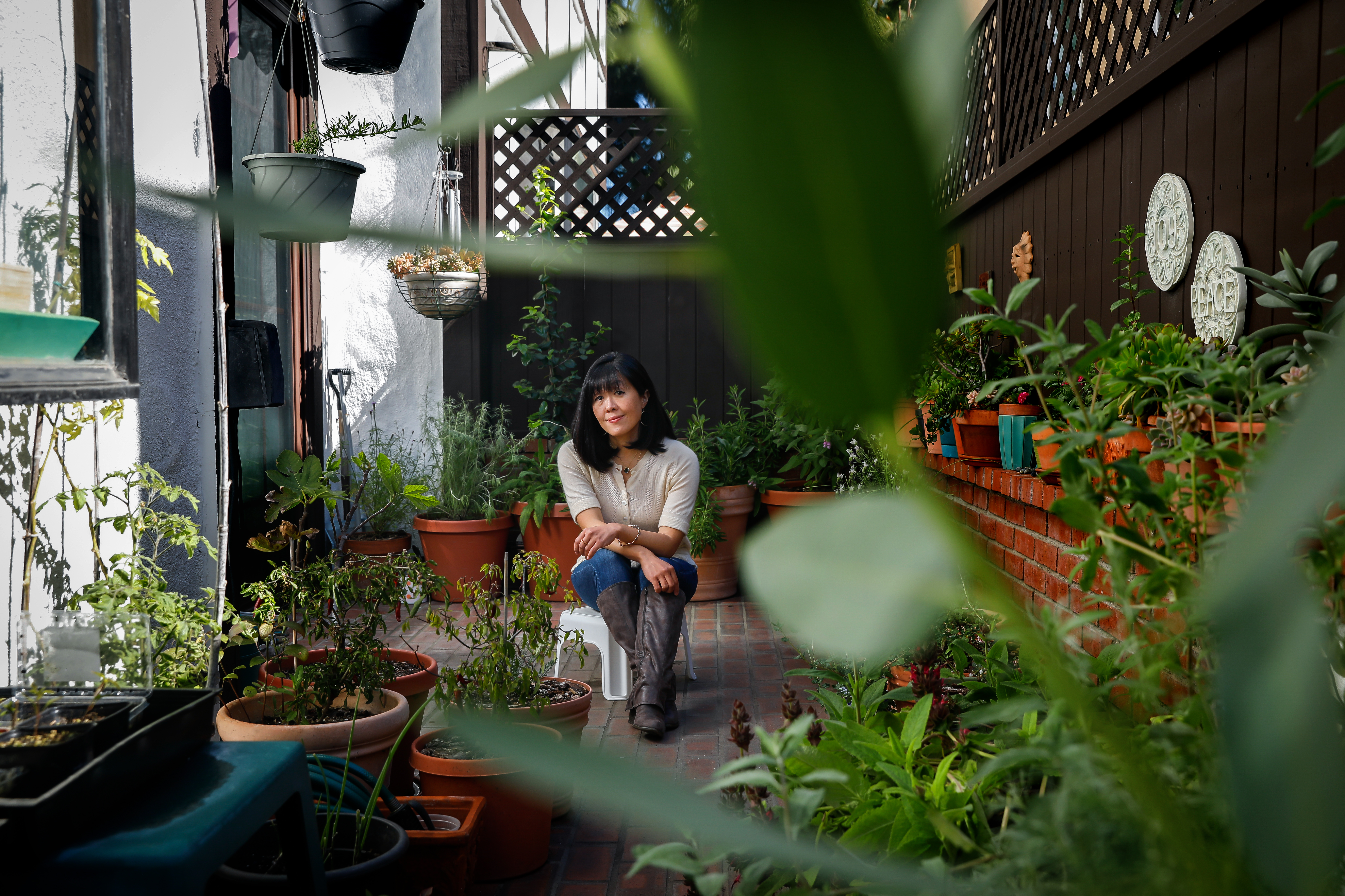 How to create a patio habitat in pots with native plants - Vimarsana News