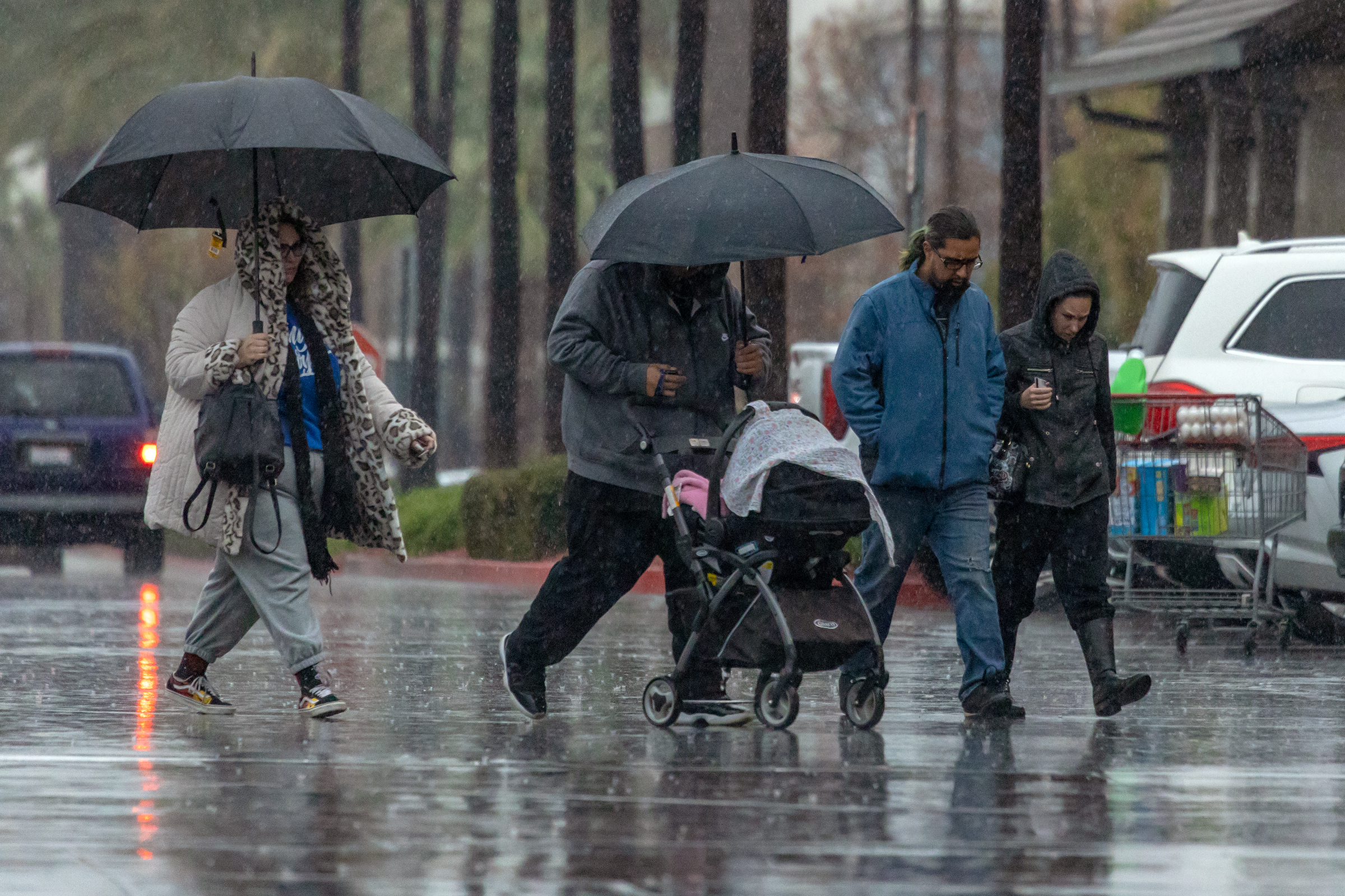Will recent storms save California from a brutal fire season? - Vimarsana News