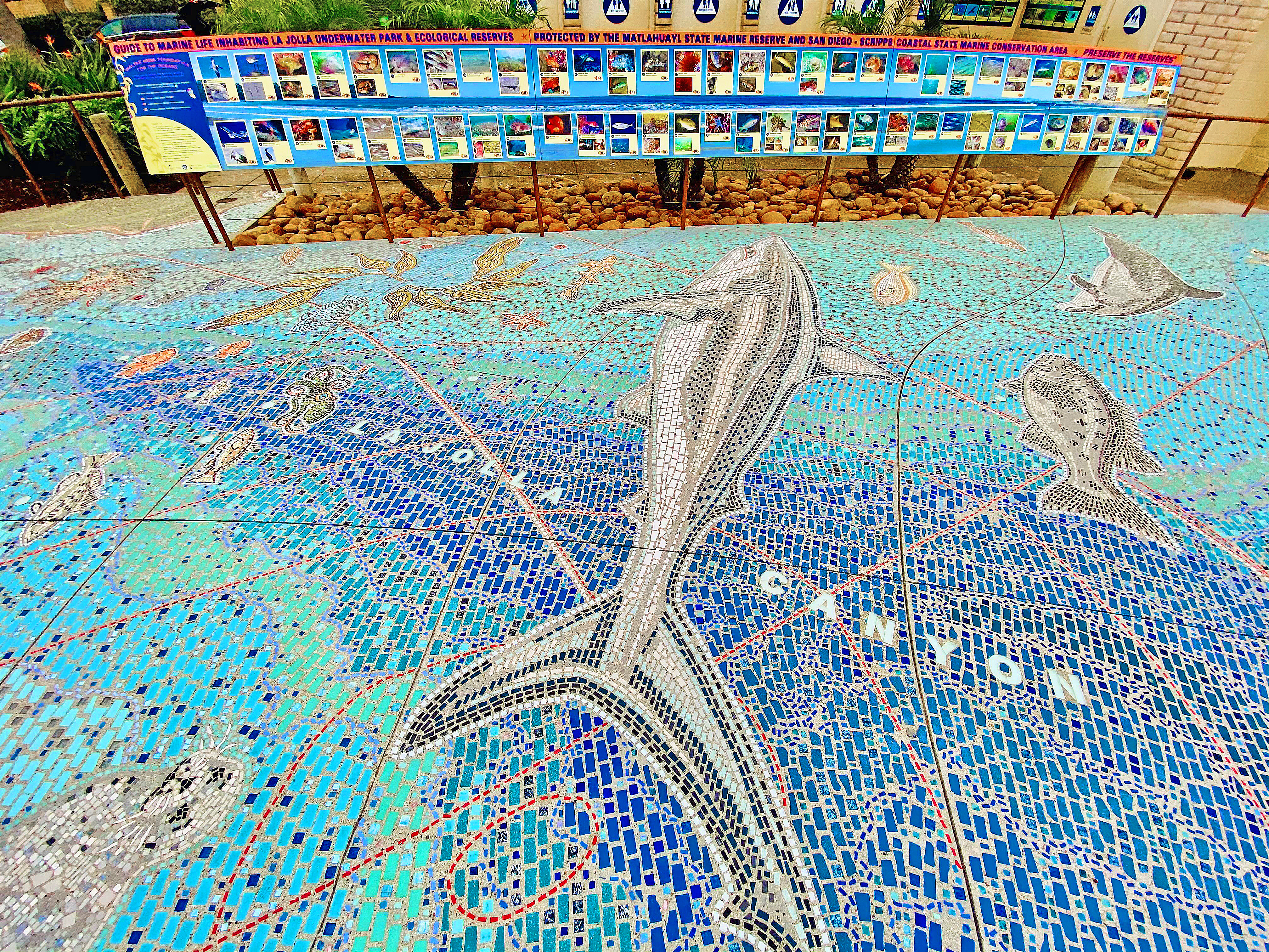 La Jolla's 'The Map' and UCSD's North Torrey Pines Living and Learning Neighborhood win architecture awards - Vimarsana News
