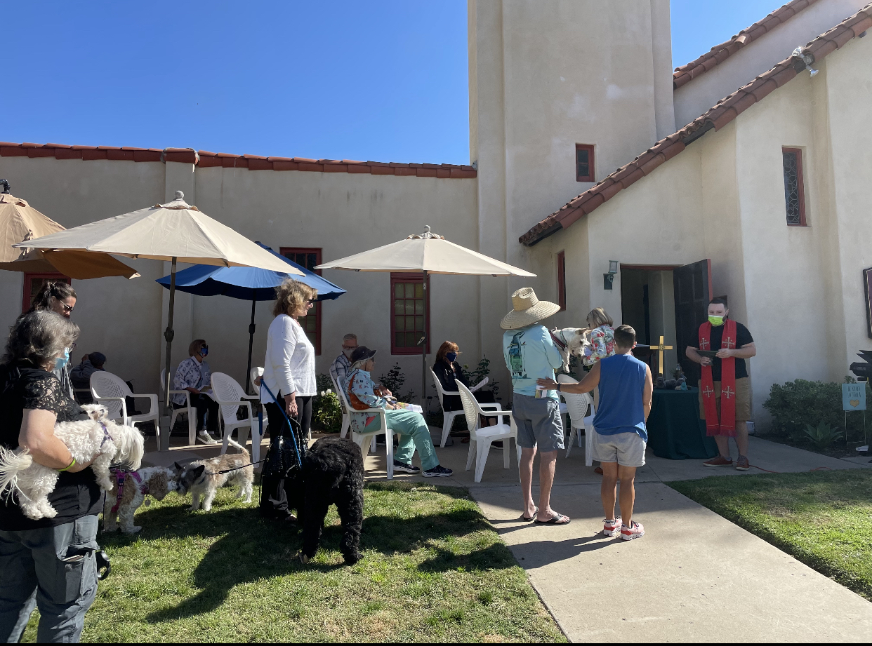 La Jolla News Nuggets: Blessing of the Animals, payouts in La Jolla, school ranking, bike path cleanup, more - Vimarsana News
