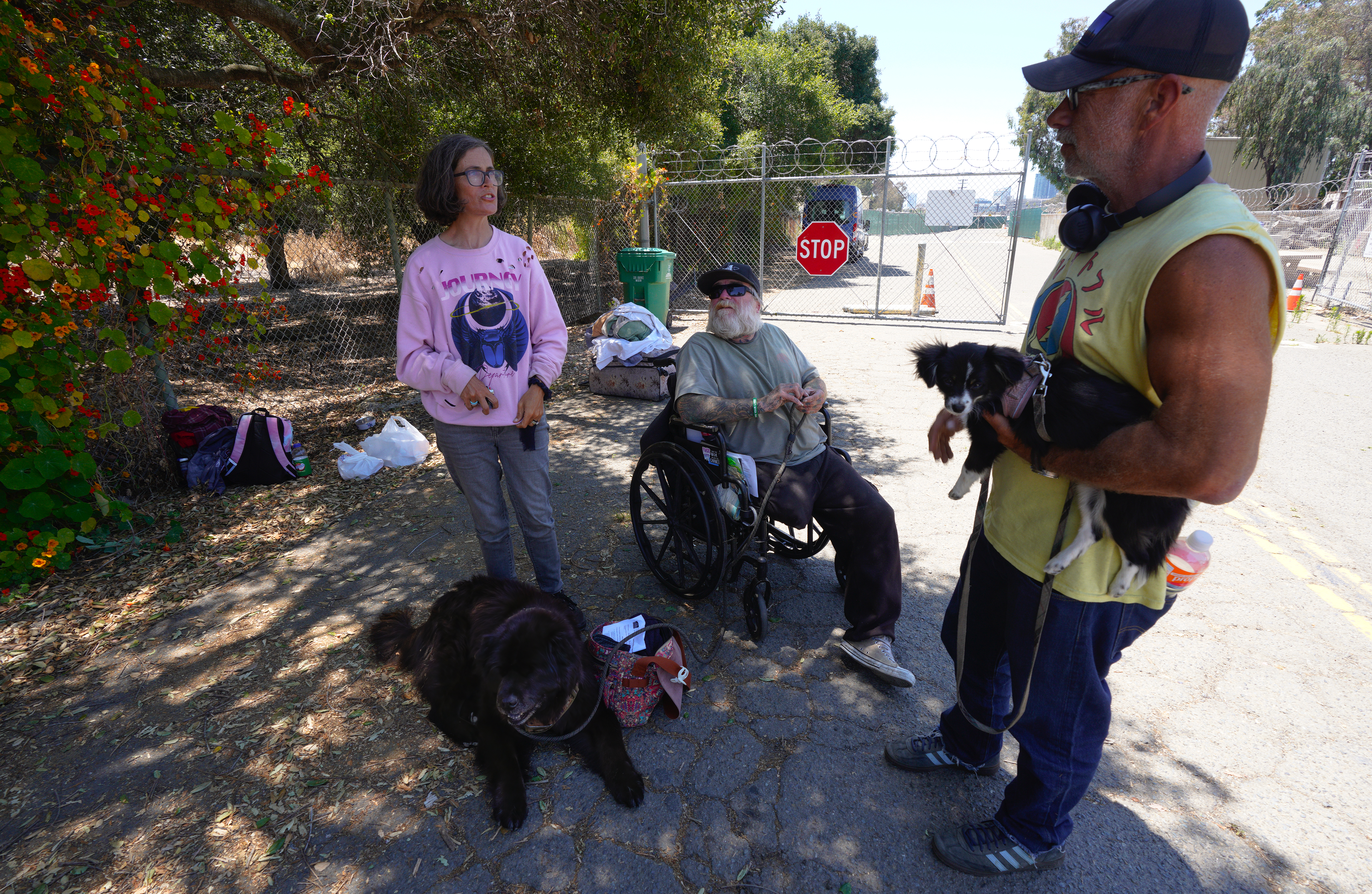 San Diego opens first of two tent camps for homeless people - Vimarsana News