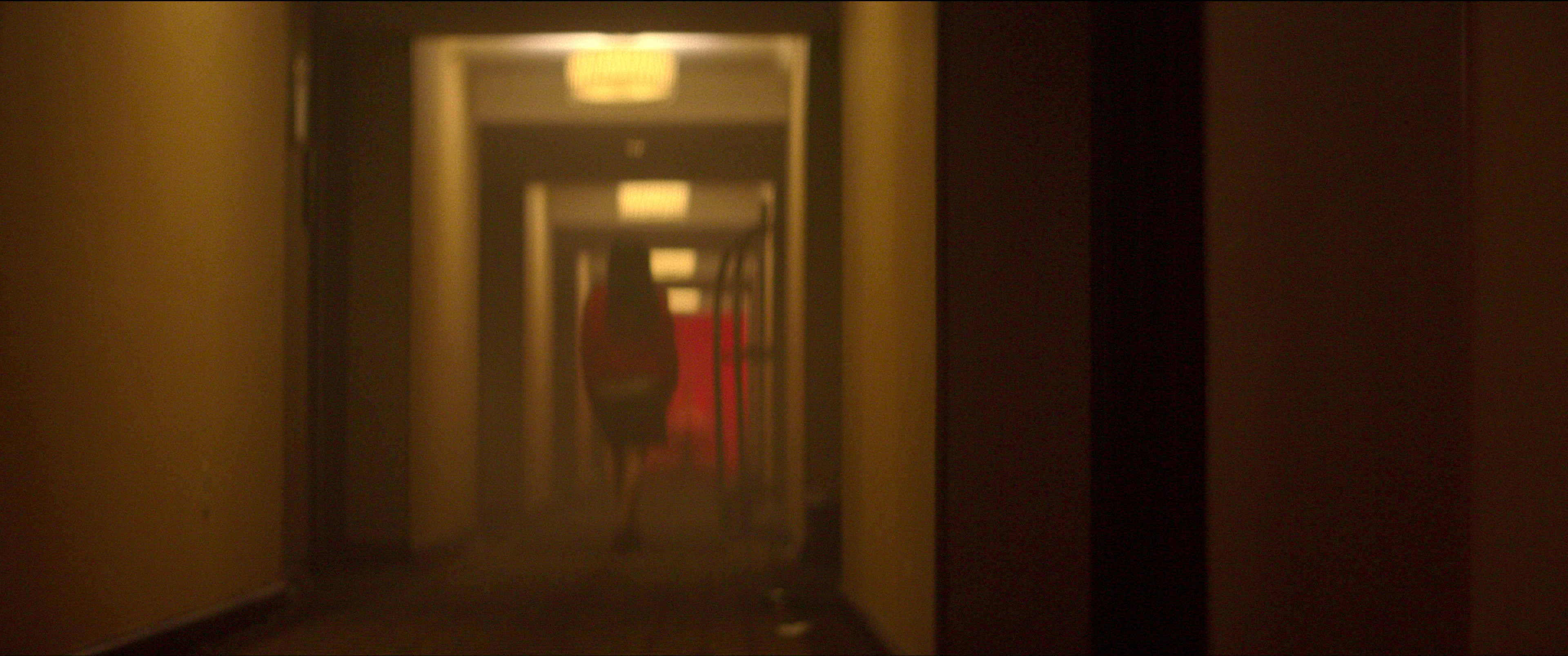 Timeline of Elisa Lam case in Netflix's Cecil Hotel series - Vimarsana News