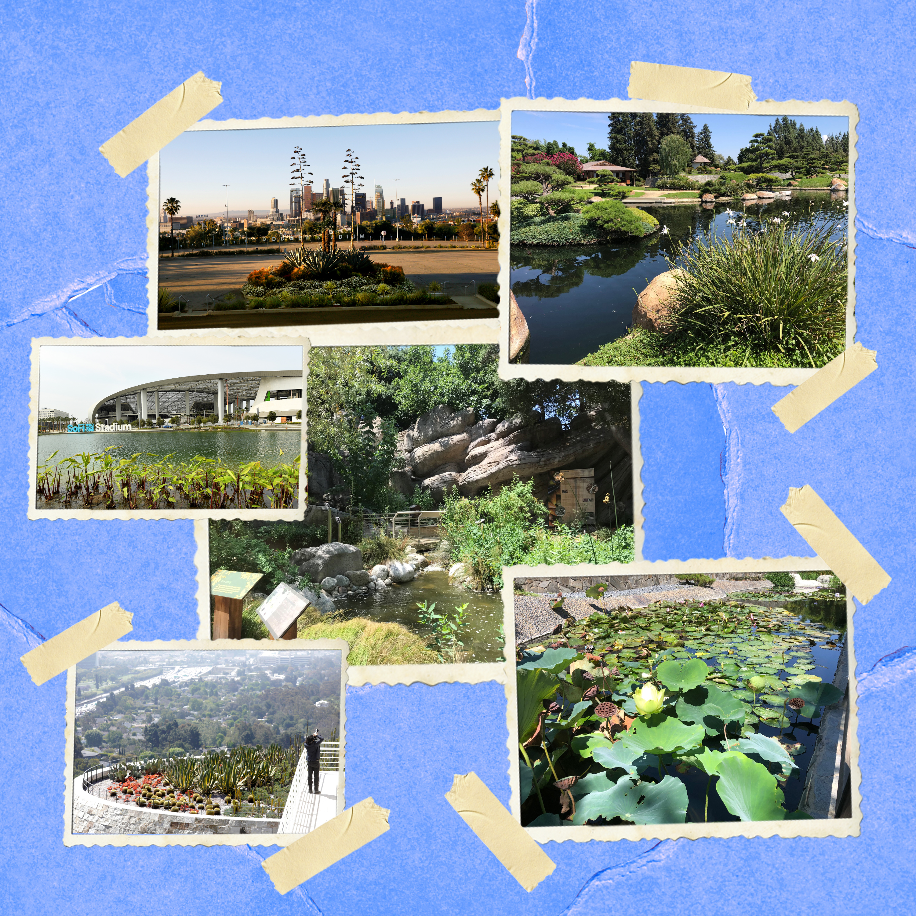 Find these 6 gardens hidden in unexpected places around Los Angeles - Vimarsana News