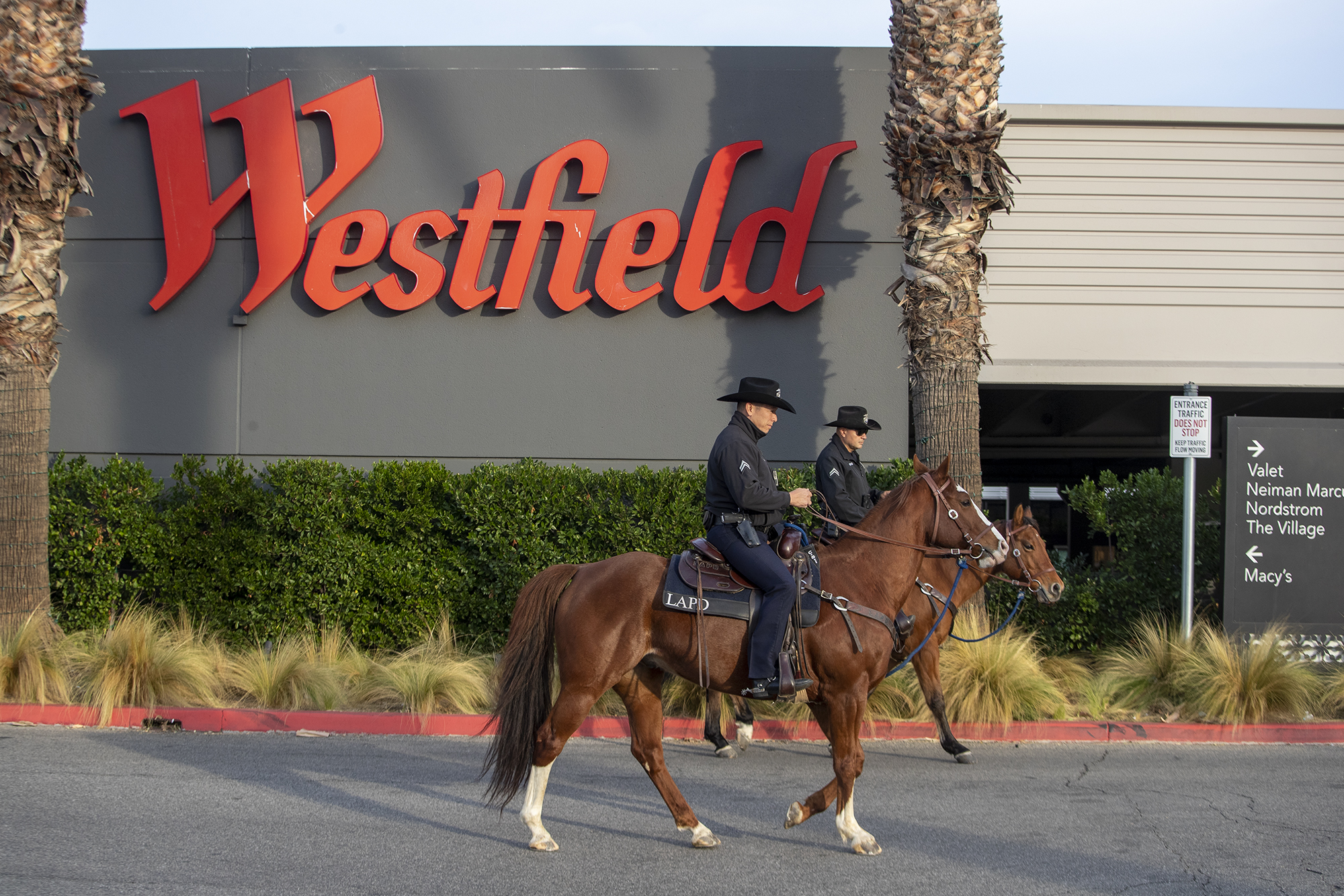 Westfield malls go up for sale as shoppers go online - Vimarsana News