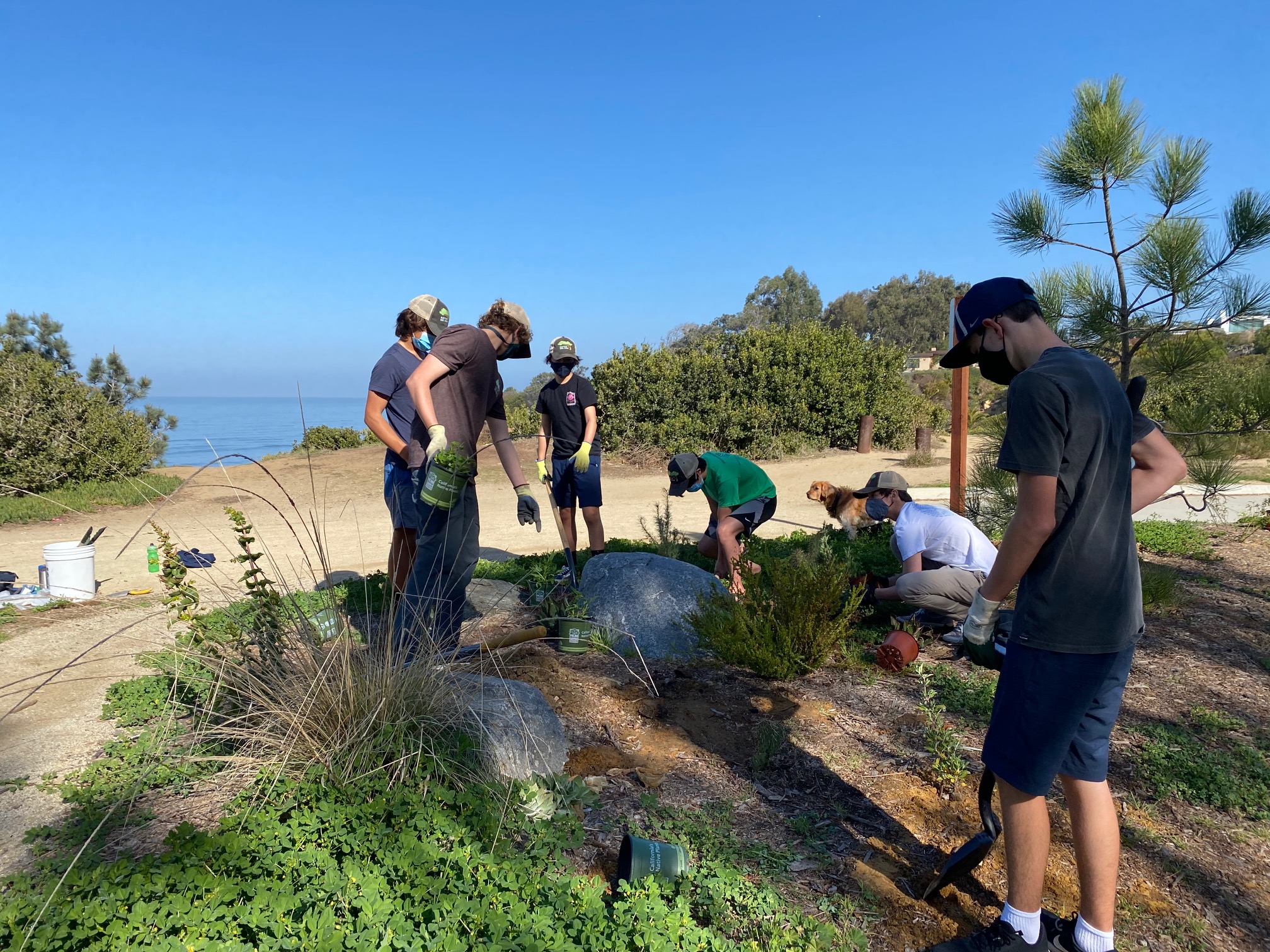 Caring for the coast: Del Mar teen starts non-profit to restore habitat - Vimarsana News