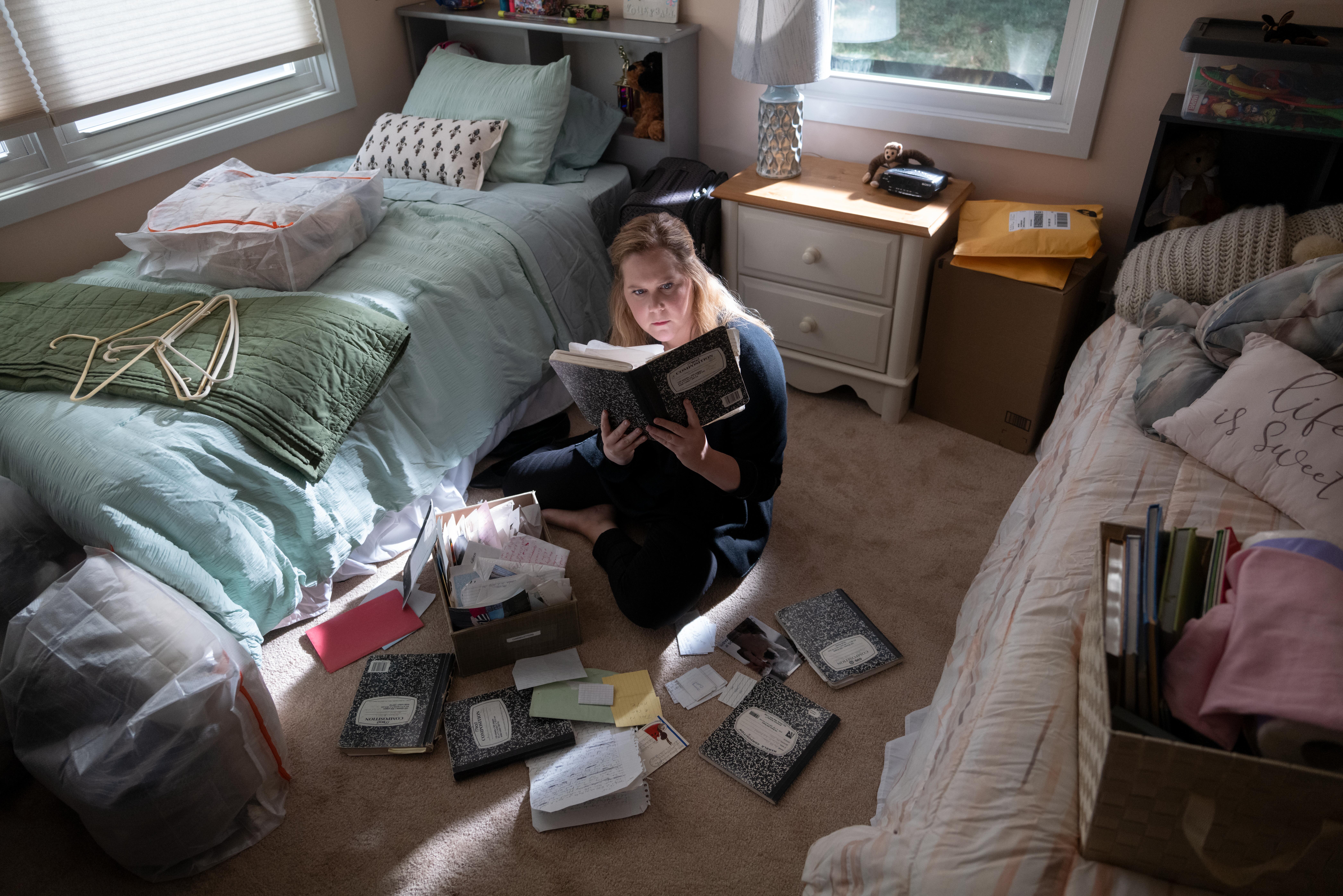 'Life & Beth' Hulu: In new show, Amy Schumer finds happiness - Vimarsana News