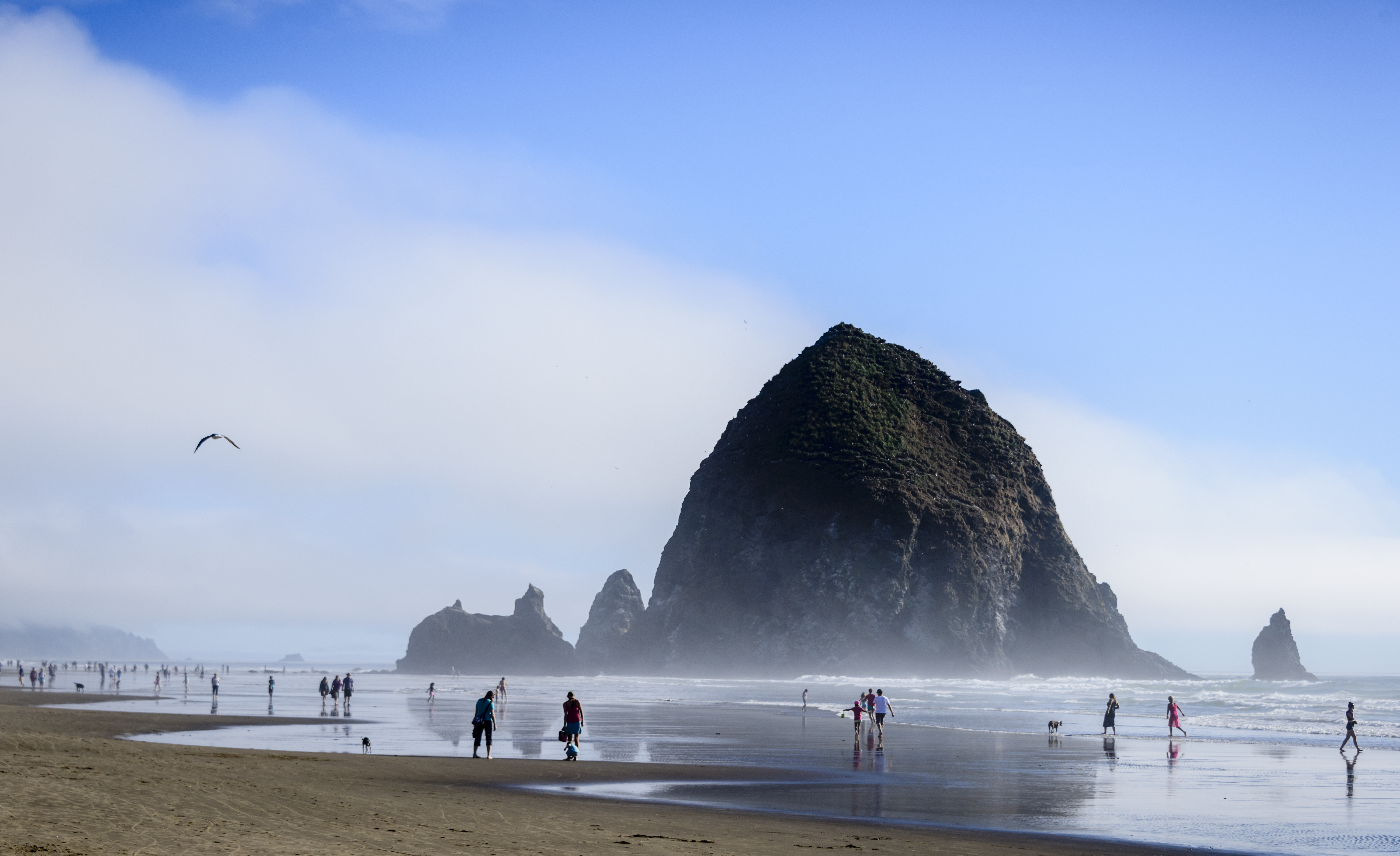 Taking the loop less traveled on the Oregon coast - Vimarsana News