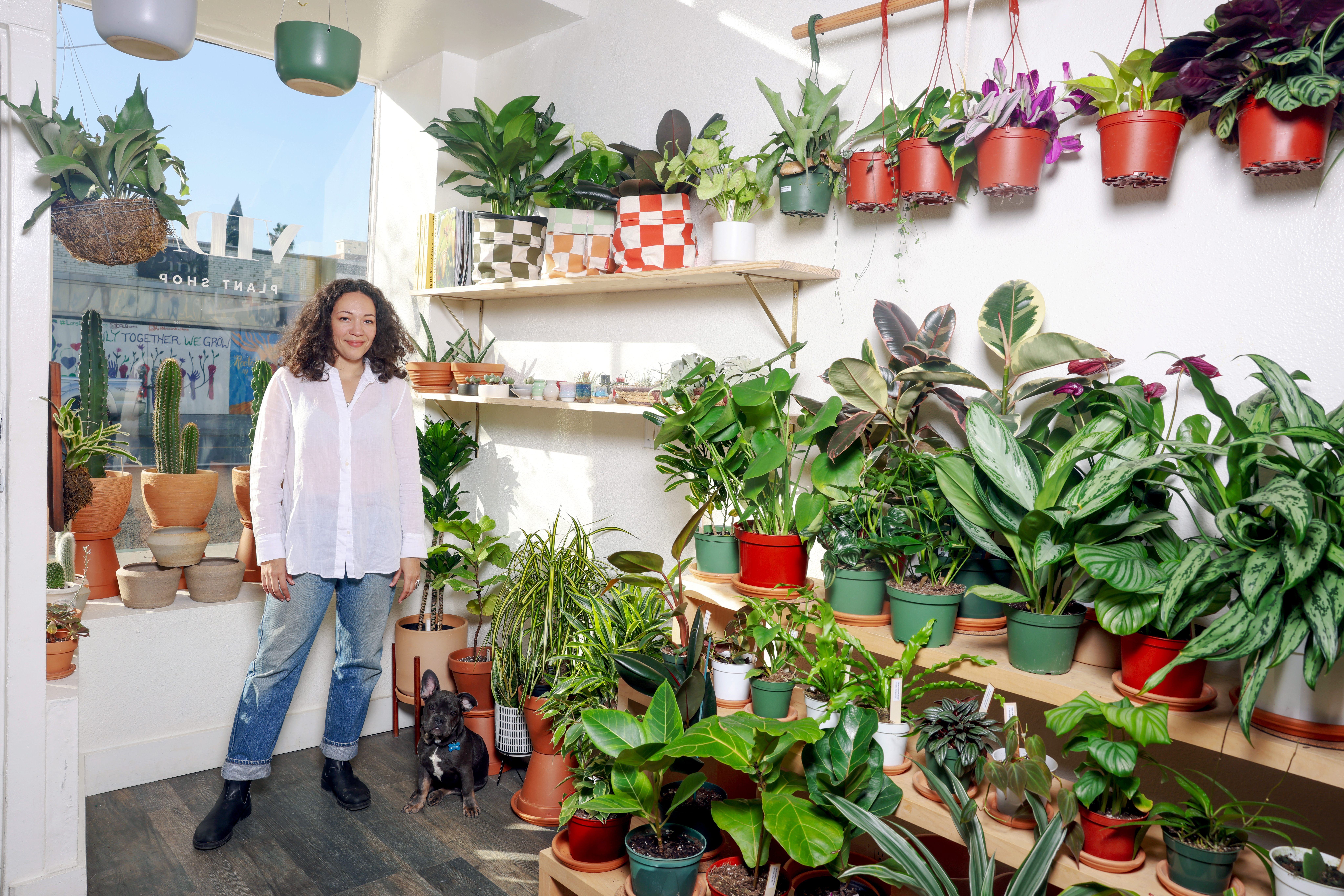 Shop for houseplants, pots, gifts at Vida Plants in Long Beach - Vimarsana News
