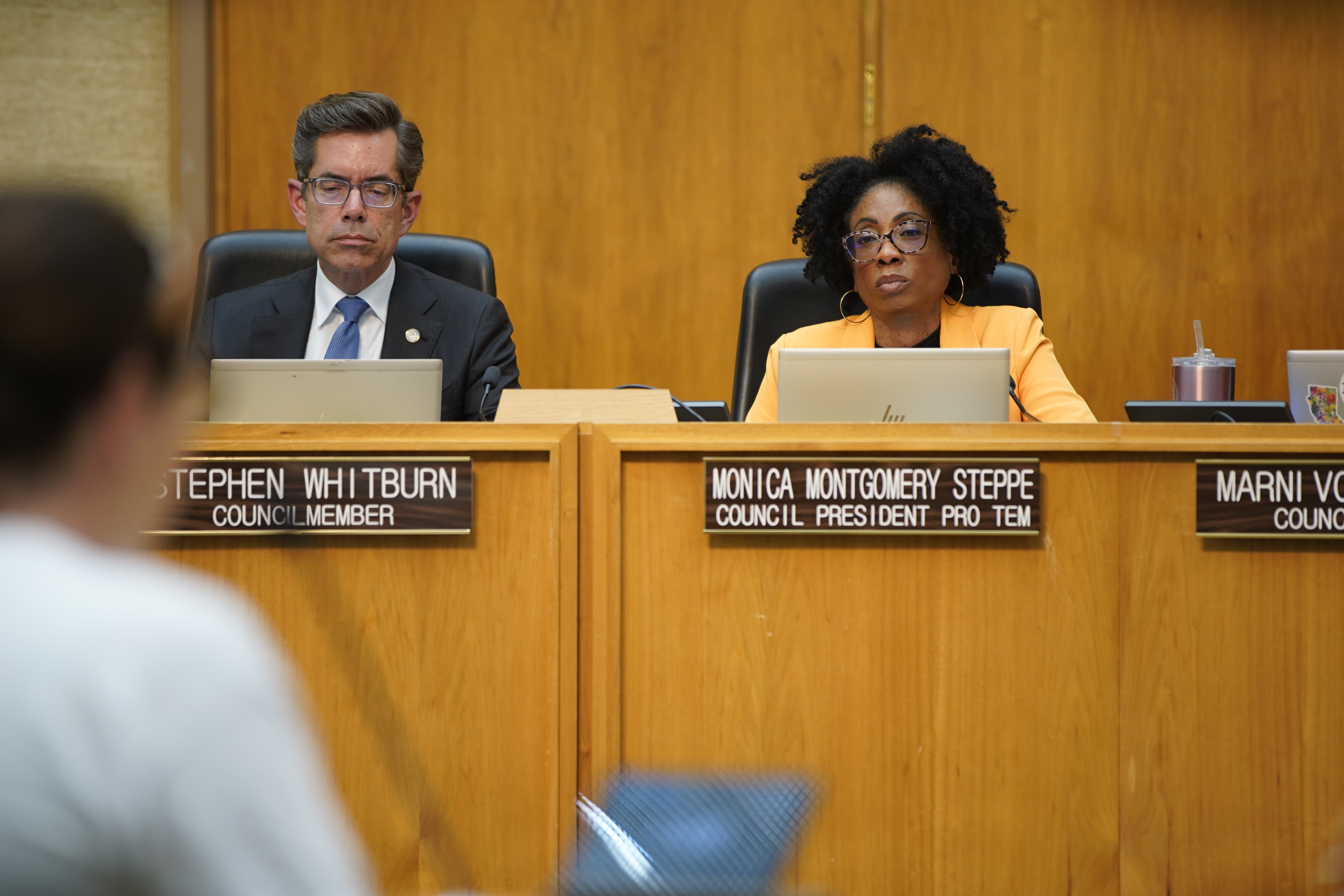 Monica Montgomery Steppe seeking Fletcher's supervisor seat - The San Diego Union-Tribune - Vimarsana News