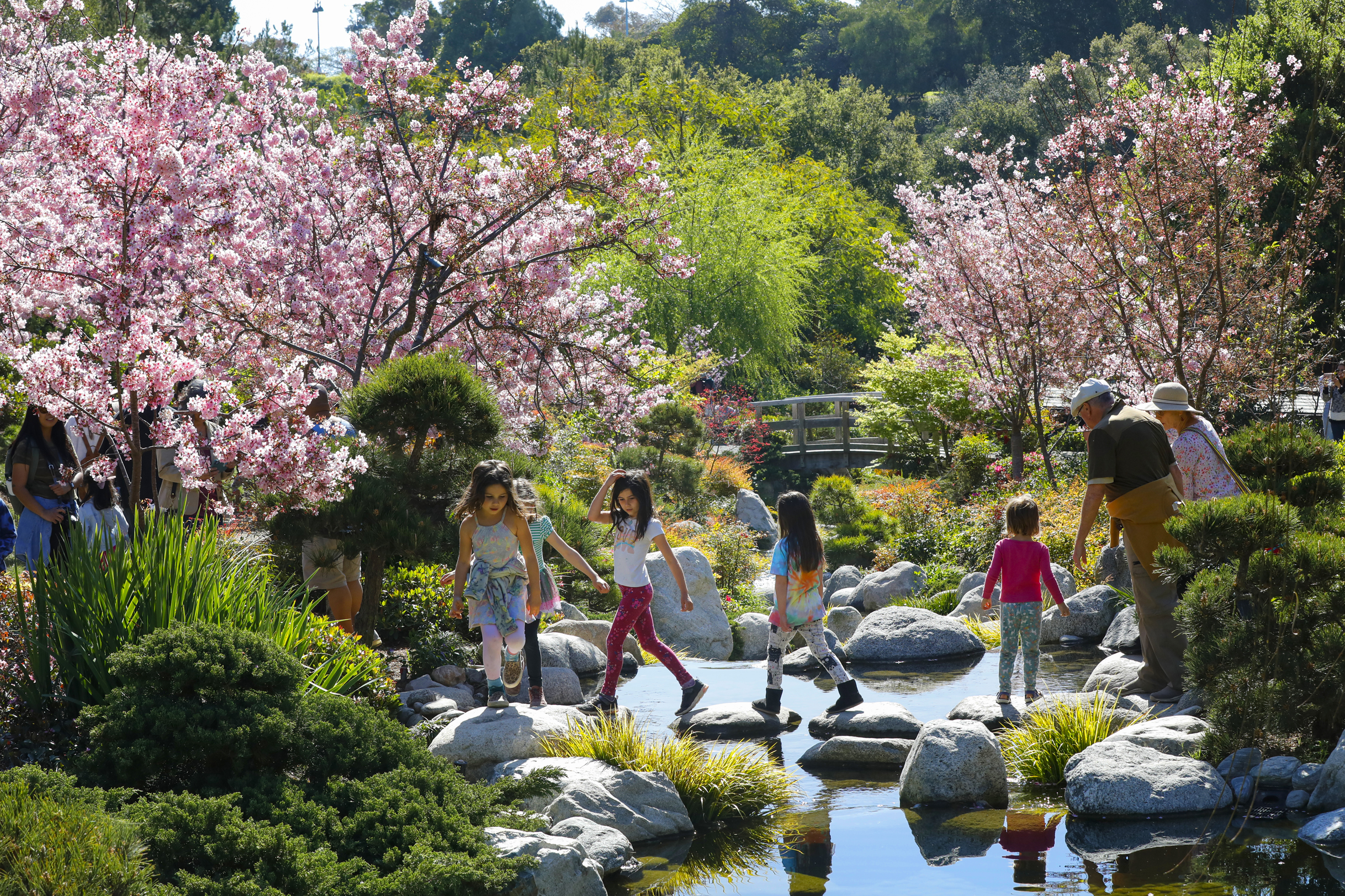 For Mother's Day: Four things I love about being a mom in San Diego - Vimarsana News