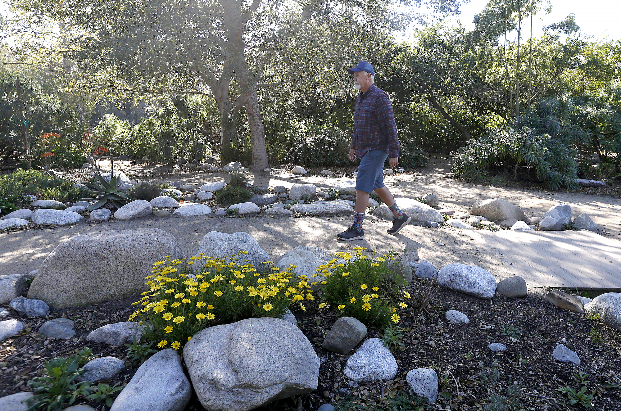 Sharing a secret: Nonprofit restoring garden at Huntington Central Park seeks aid - Vimarsana News
