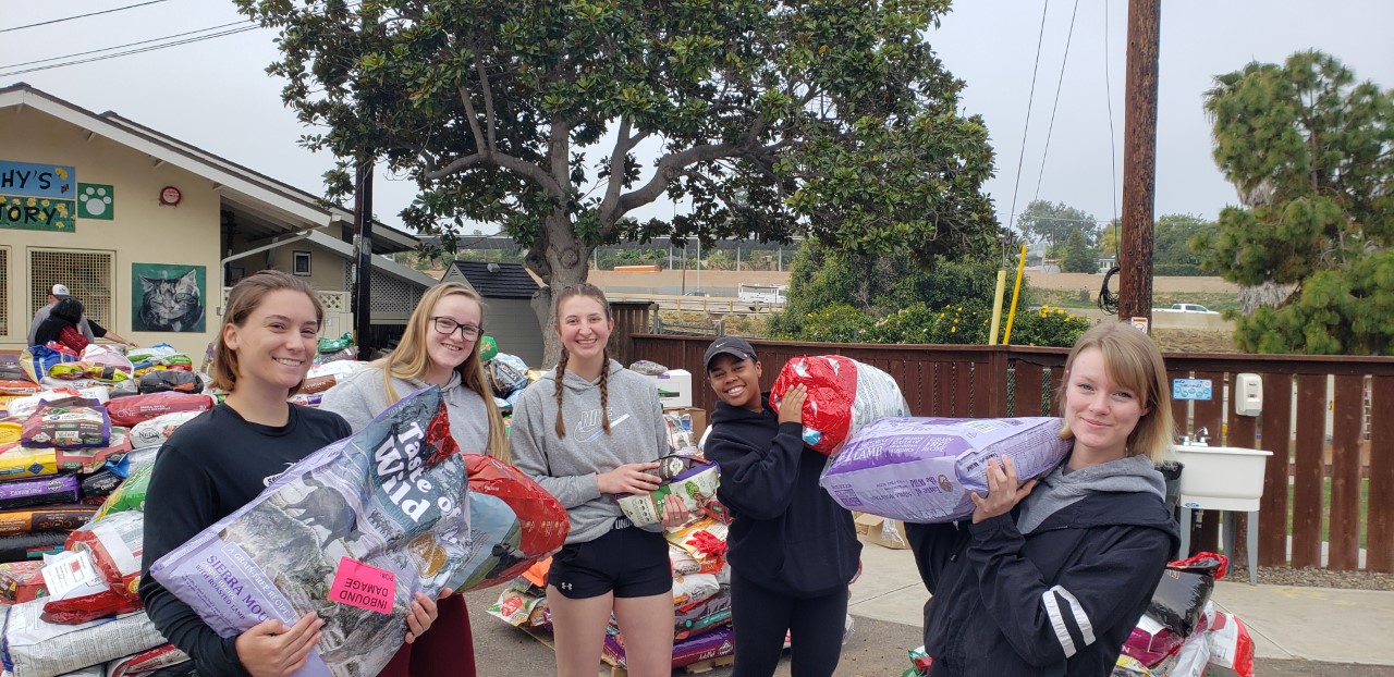 Marines from Camp Pendleton help distribute food to pet rescues at animal shelter - Vimarsana News
