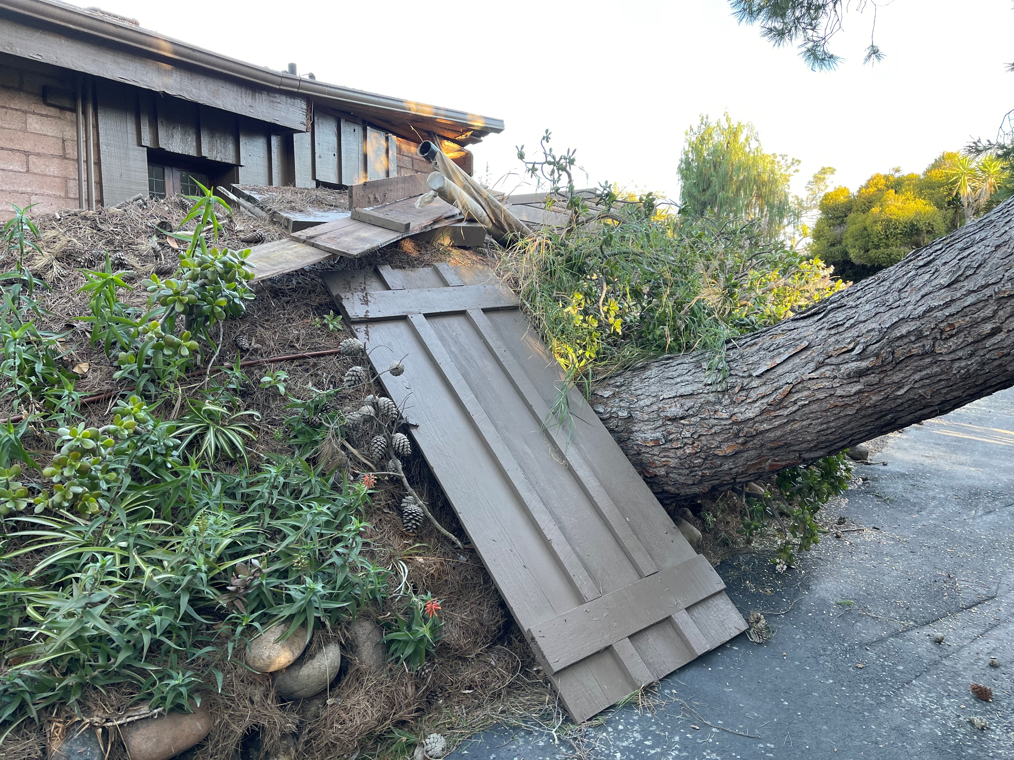Late oceanographer Walter Munk's former home damaged by fallen tree; its future is uncertain - Vimarsana News