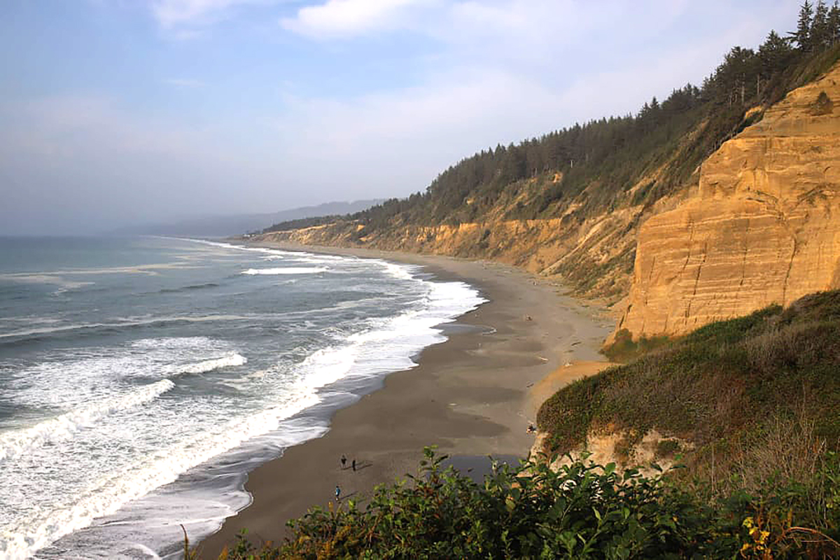 California park with racist past gets new Indigenous name - Vimarsana News