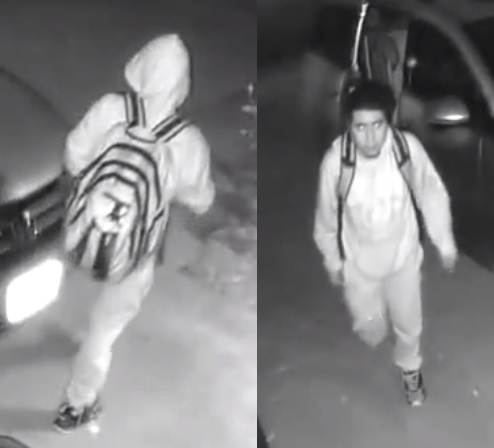 Police arrest man suspected of sexually assaulting 5-year-old girl in her room - Vimarsana News