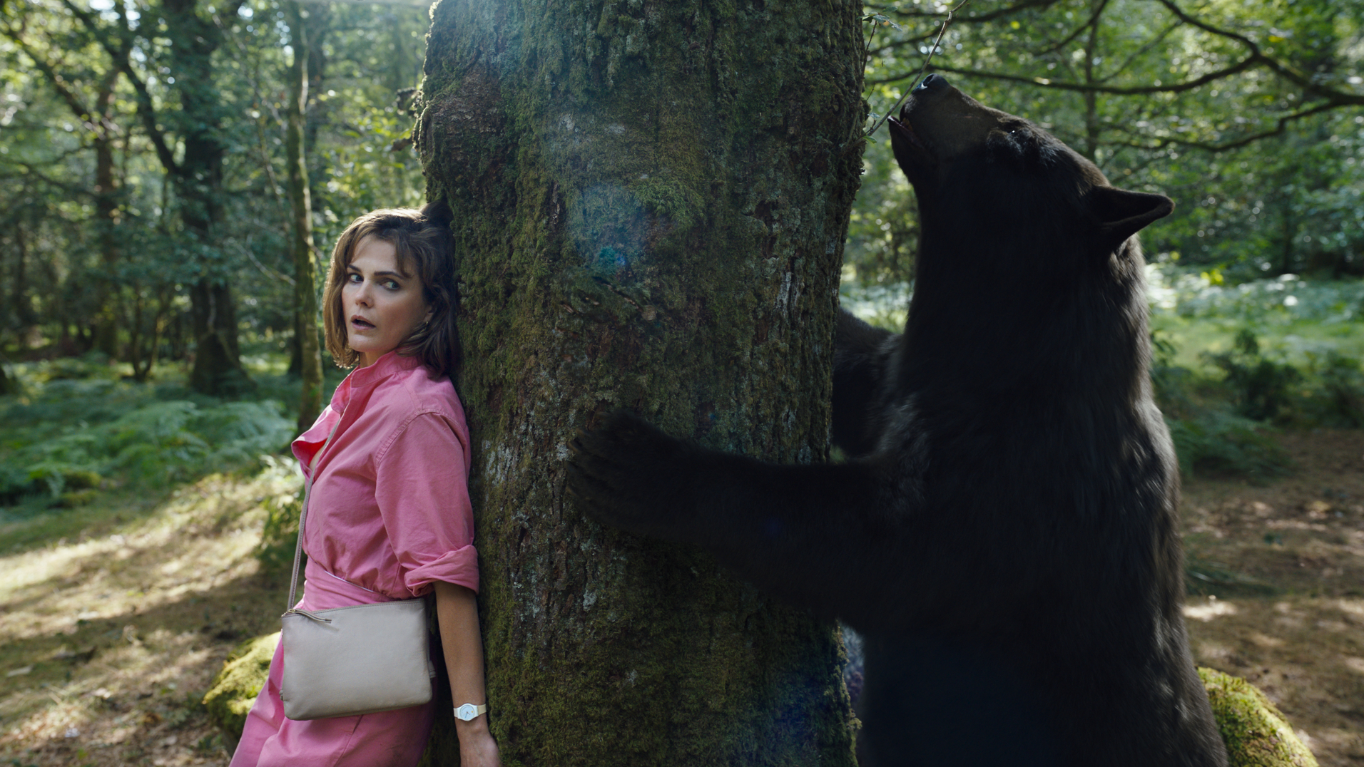 Does 'Cocaine Bear' live up to the promise of its title? - Vimarsana News
