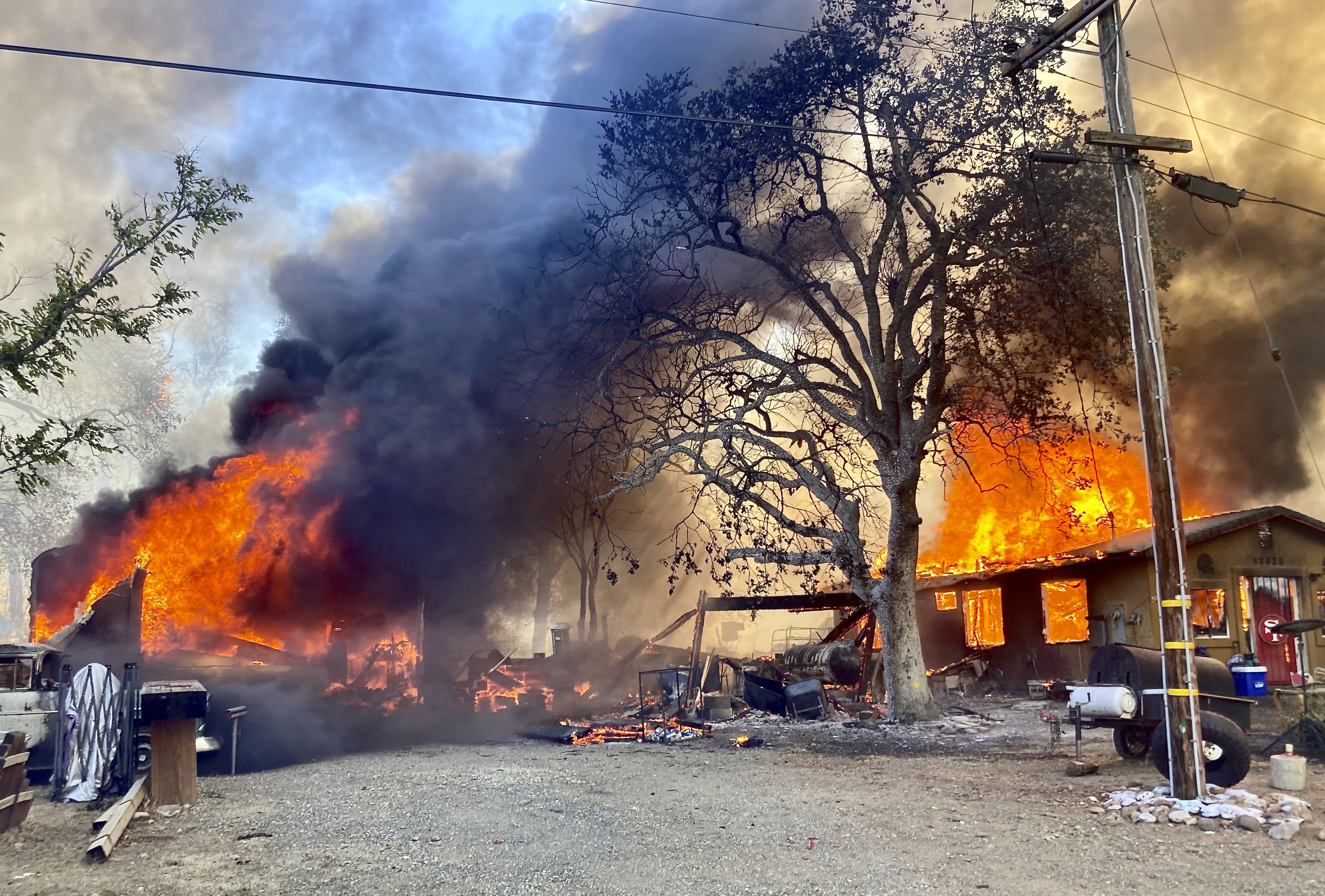 Peter fire destroys homes, damages tortoise sanctuary in Anderson - Vimarsana News