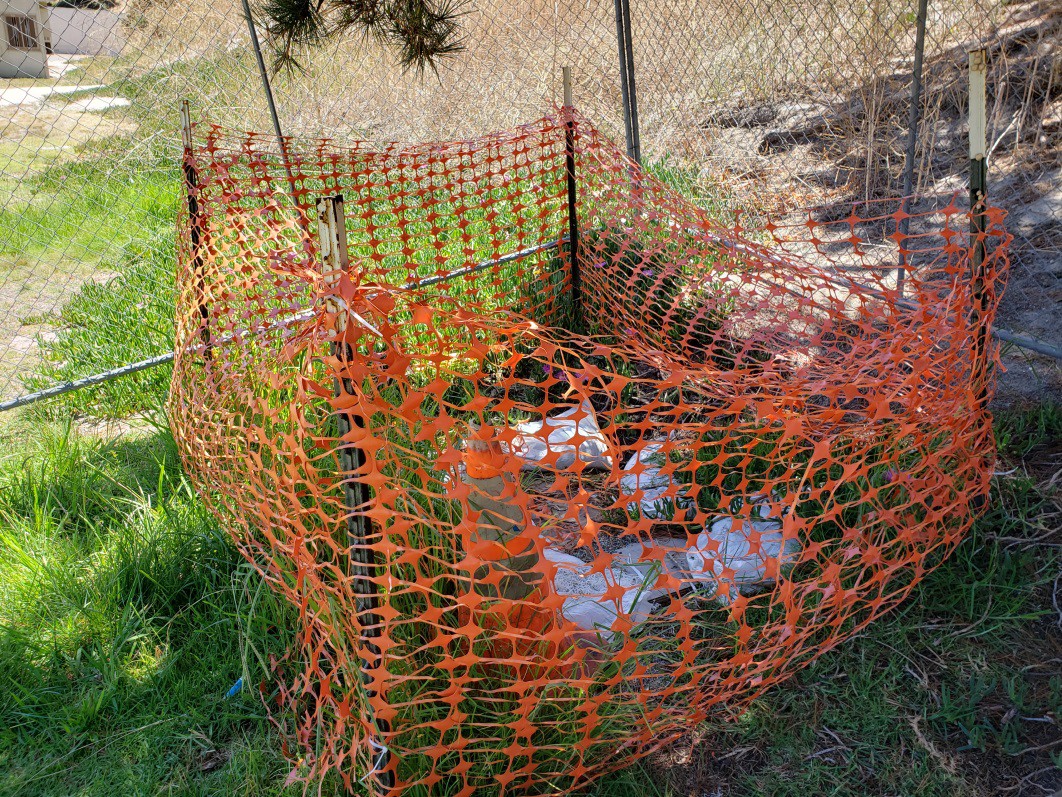 Solutions uncertain for sinkholes at Oceanside school - Vimarsana News