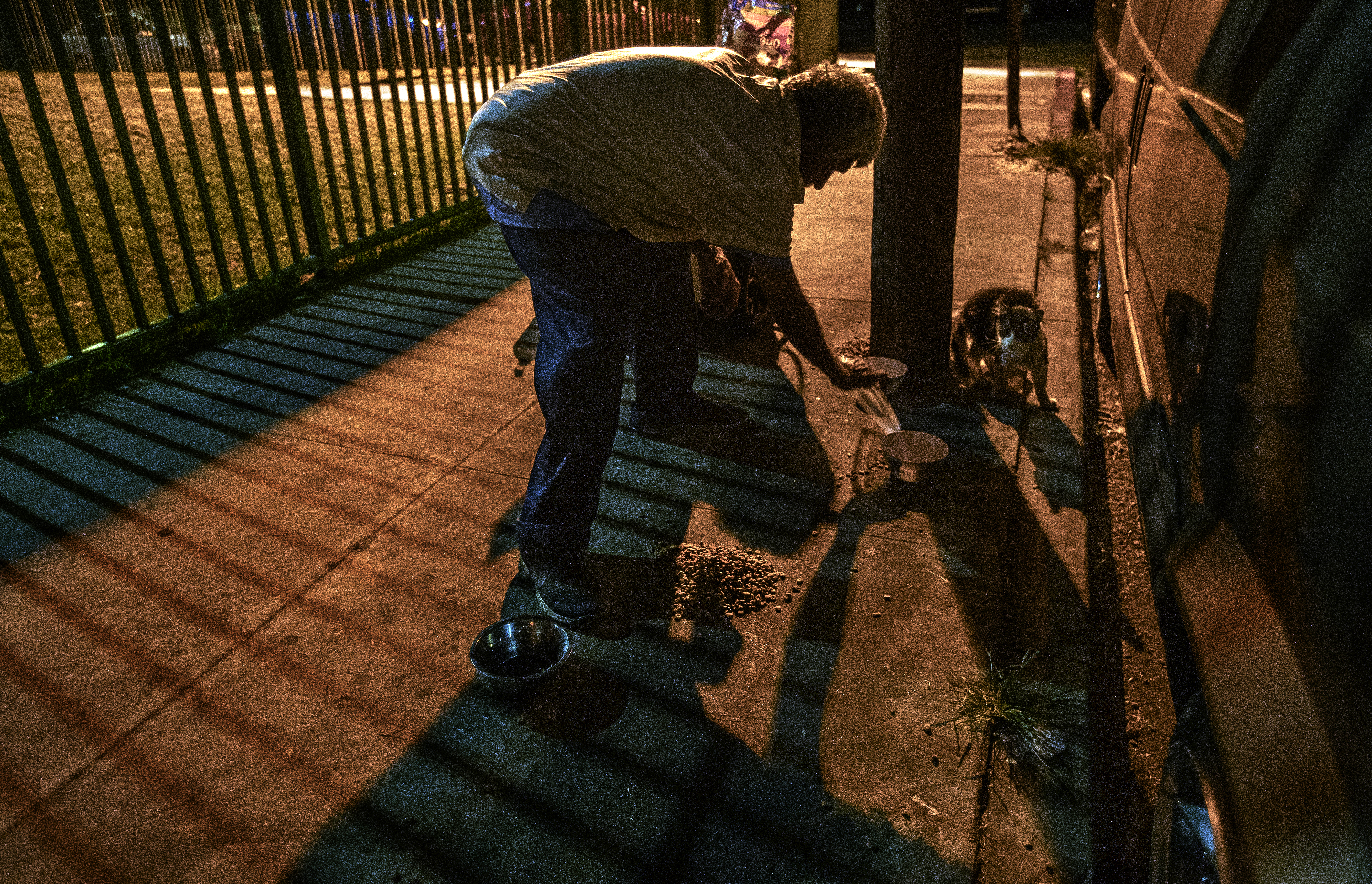 Column: ‘We are in the presence of a saint’: A homeless man’s mission to feed L.A.'s cats and birds