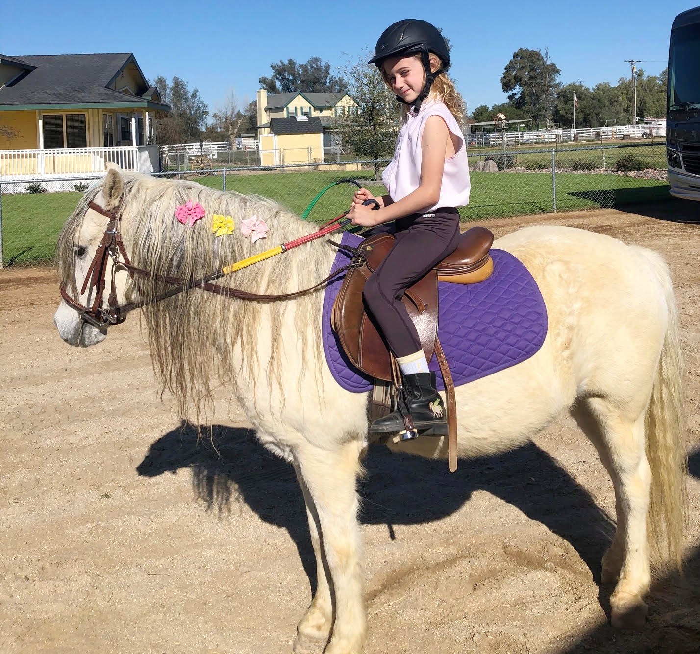 Ramona woman's 'Icy Hooves' is a tale of a girl and her white pony - Vimarsana News