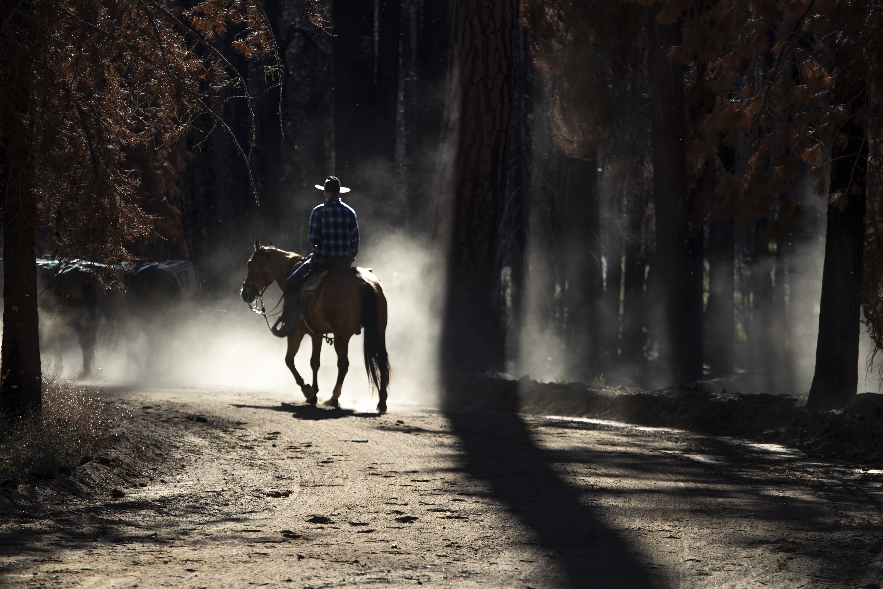 Returning to the Sierra -- readers journey with reporter - Vimarsana News