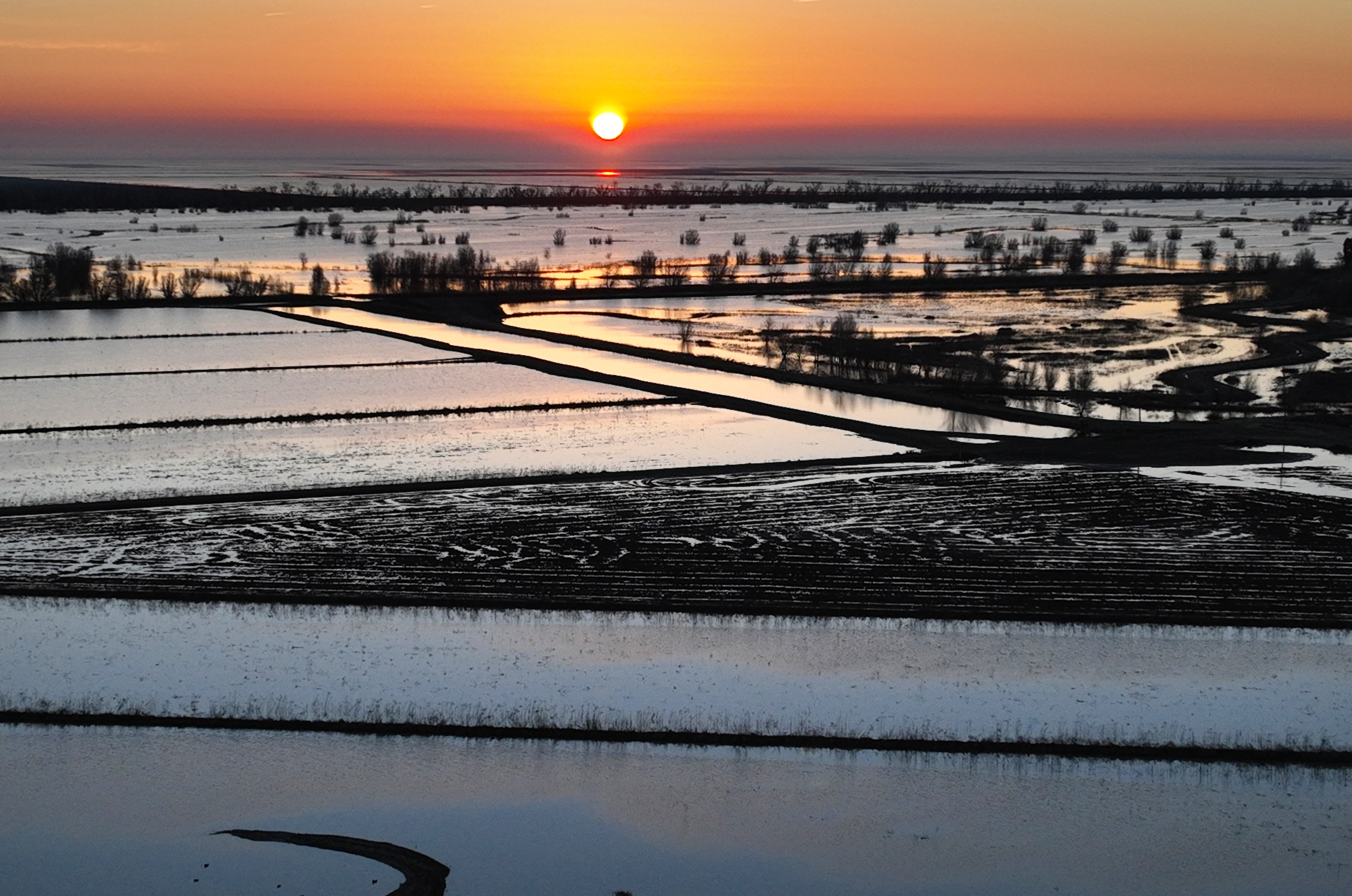 California looks to farmland to recharge groundwater - The San Diego Union-Tribune - Vimarsana News
