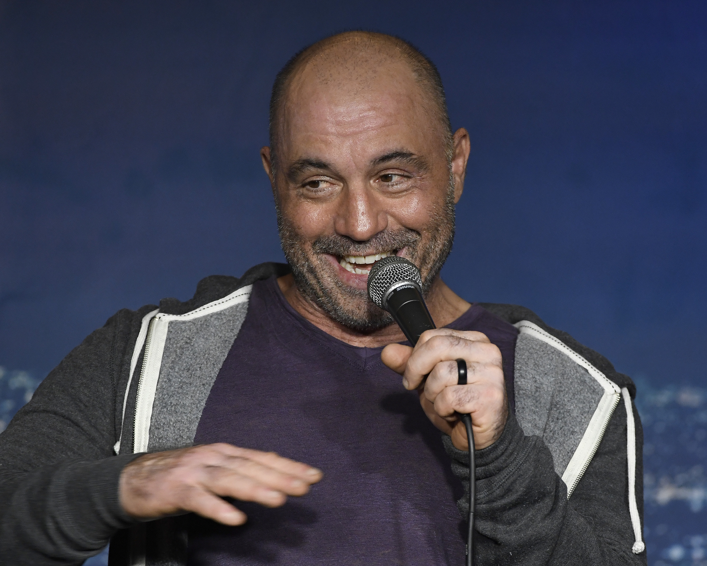 Why Spotify picked Joe Rogan over Neil Young - Los Angeles Times - Vimarsana News