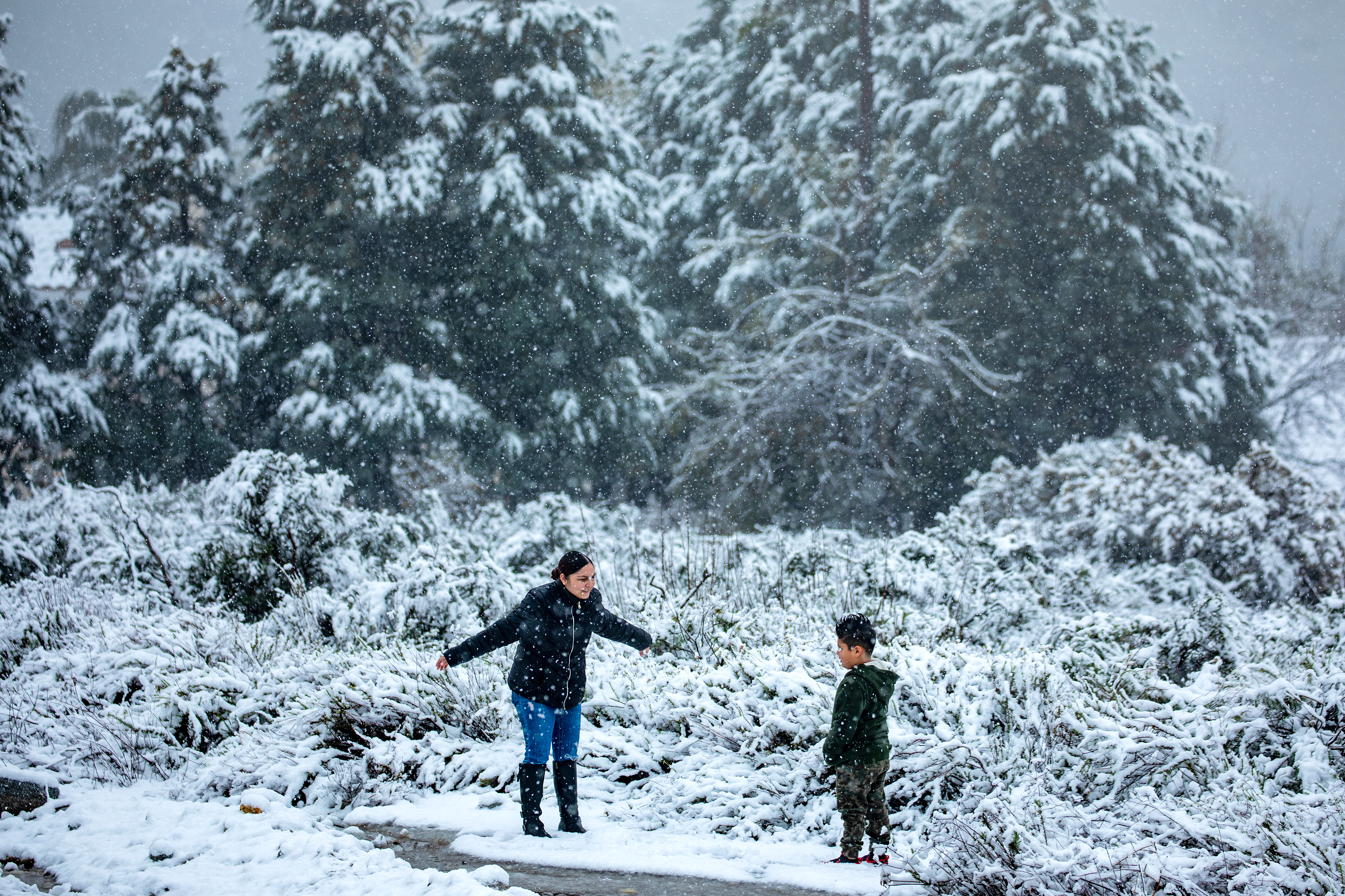 Epic winter storm turns Southern California snow white - Vimarsana News