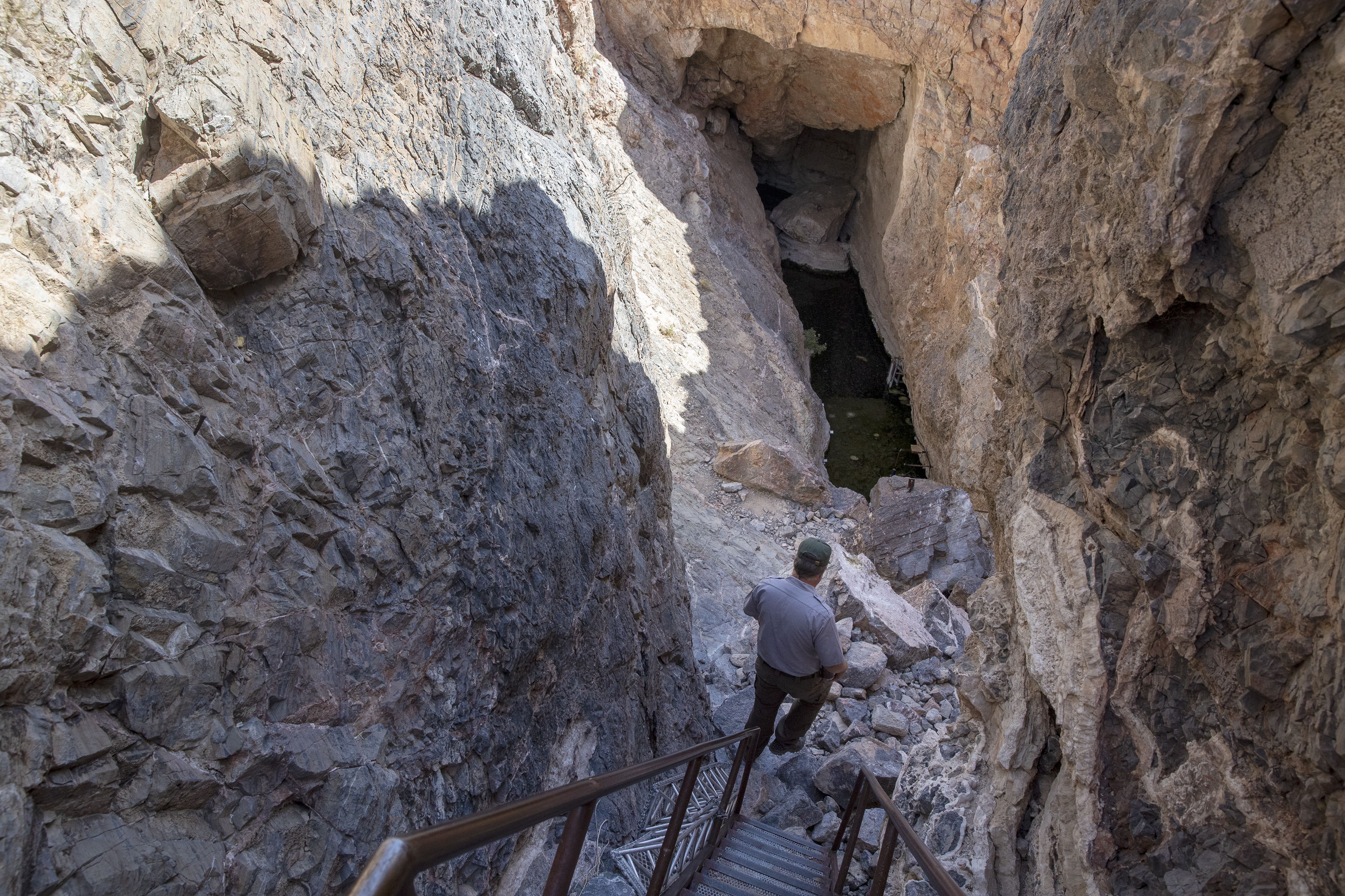 Endangered Devil's Hole pupfish makes a perplexing rebound - Vimarsana News