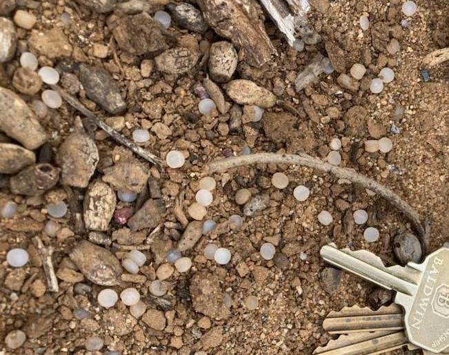The trouble with nurdles, the plastic pollution you may not know about - Vimarsana News